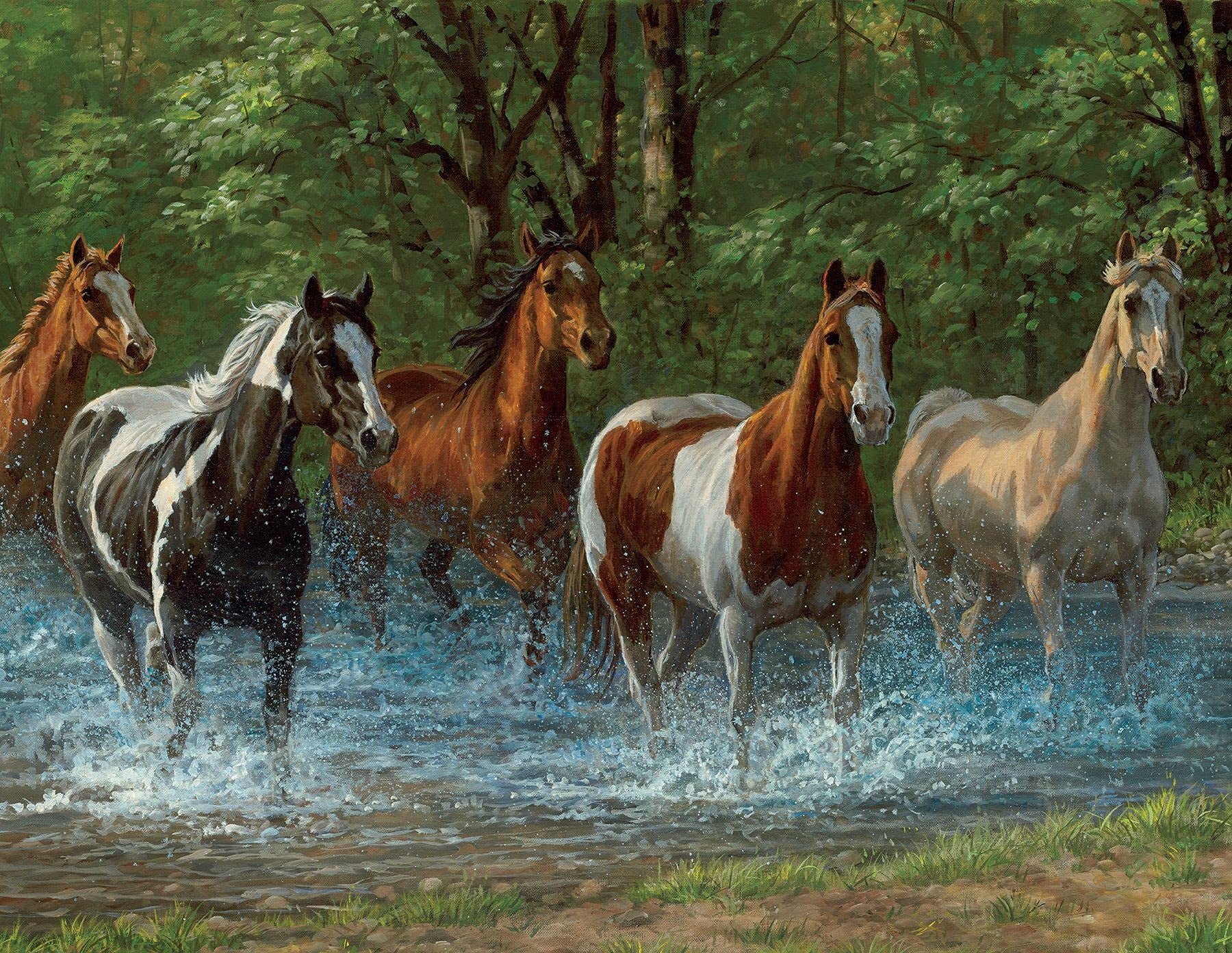 Springbok Summer Creek Horses - 500 Piece Jigsaw Puzzle for Adults - Unique Cut Pieces