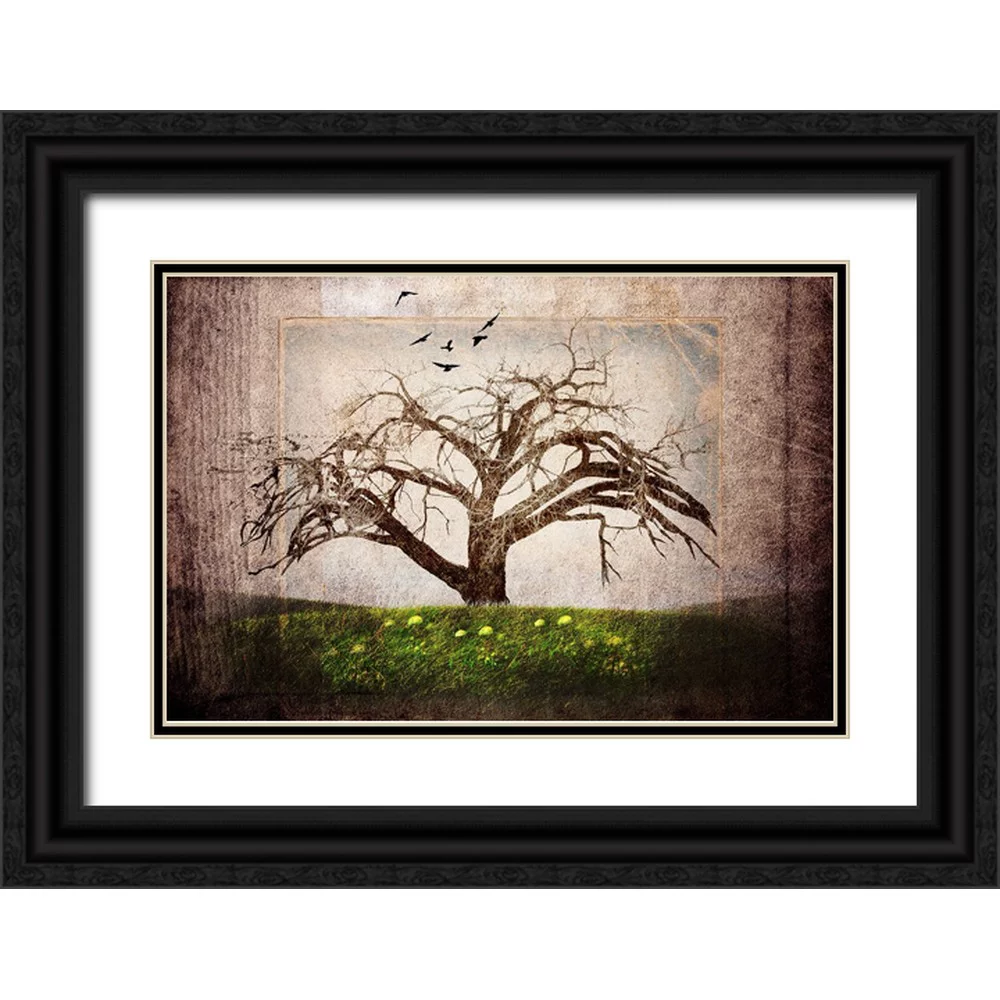 LightBoxJournal 14x11 Black Ornate Wood Framed with Double Matting Museum Art Print Titled - Cottonwood Tree Part 03