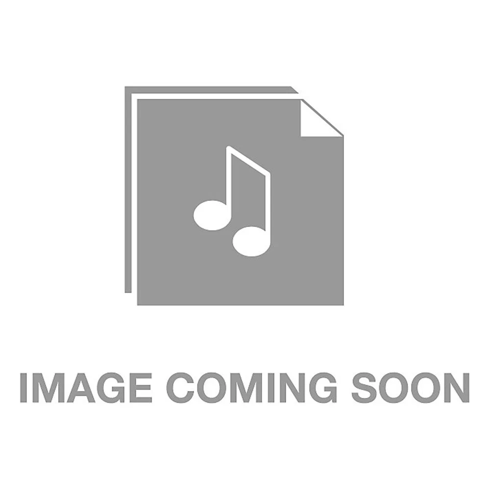 Promark Hickory 5B Nylon Tip drumstick