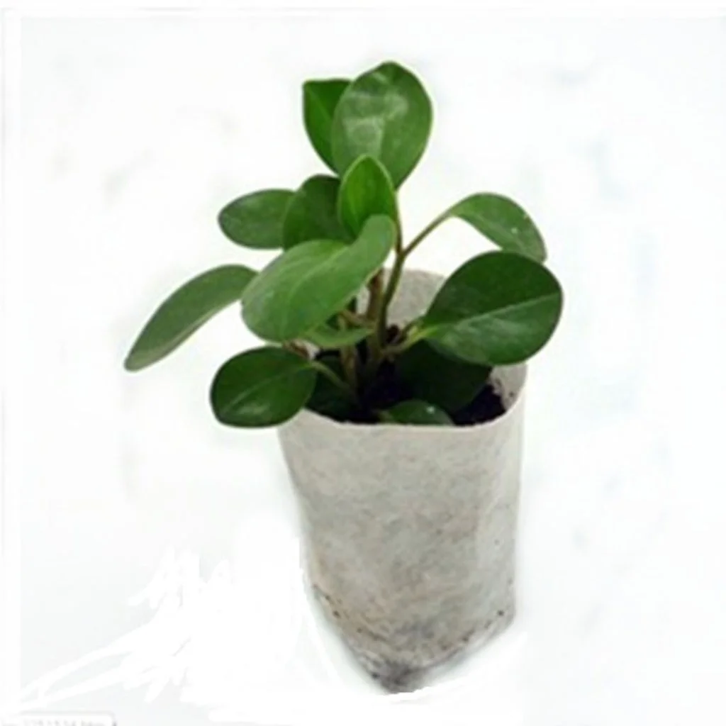 200PCS -Biodegradable Non-Woven Nursery Bags -Grow Bags Seedling Pots Utility Tool