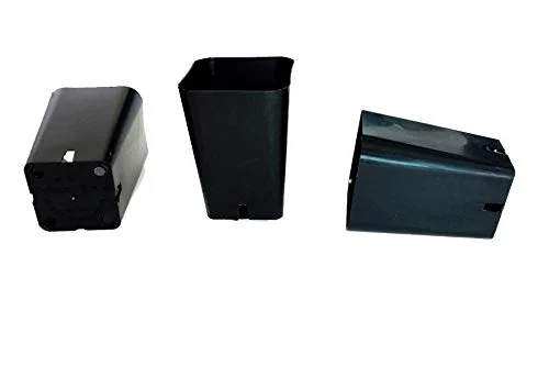 30 Seed Starting - 2 1/4