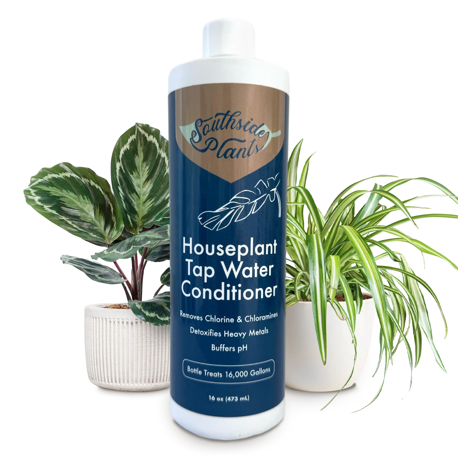 Houseplant Tap Water Conditioner - Remove Chlorine, Chloramine Heavy Metals - Improve Plant Soil Ability Grow Healthier - 16 Oz