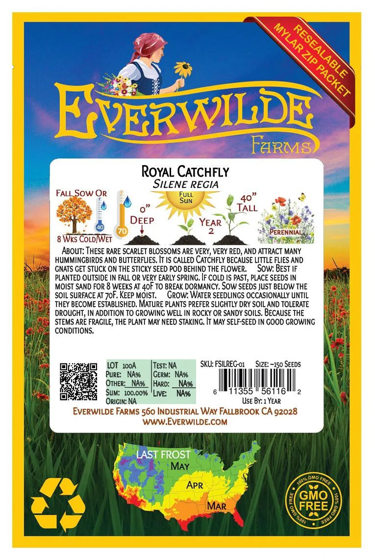 Everwilde Farms - 75 Royal Catchfly Native Wildflower Seeds - Gold Vault Jumbo Bulk Seed Packet