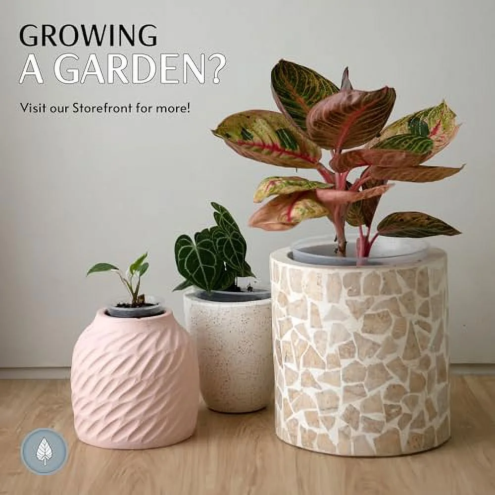 karenplantsplants™ 9