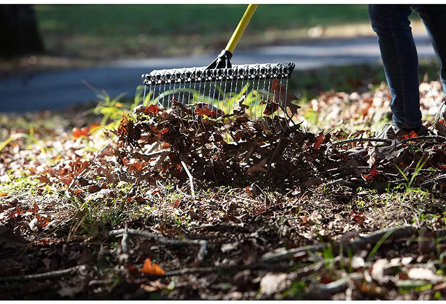 Rake 55-inch Lightweight Fiberglass Handle, 21-inch Head, Durable Steel Tines for Gardening, De-Thatching or Professional Landscaping