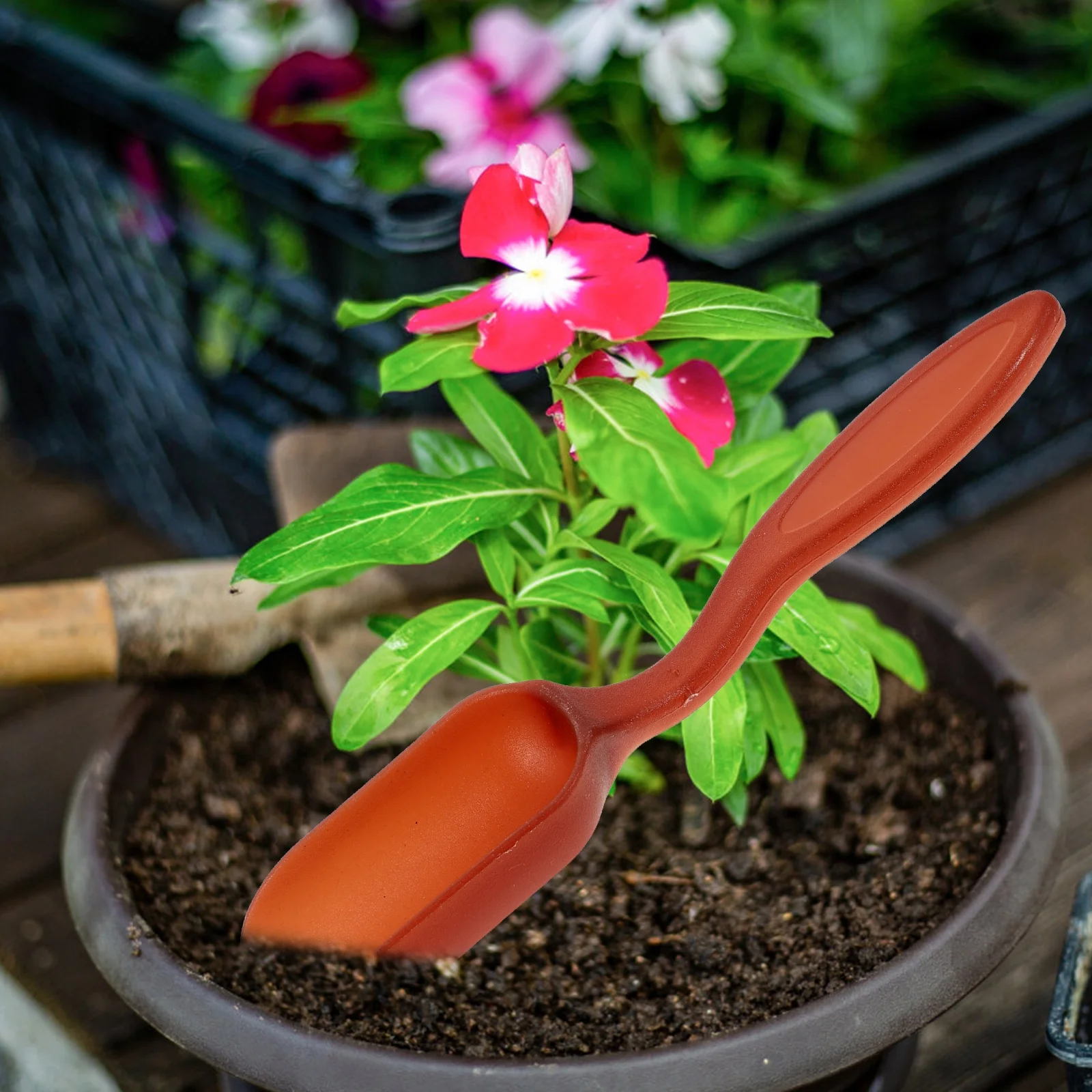 Gardening Gift Gifts Things Tools Tweezers Cactus Shovels Planting Vegetable Metal Juicy Wood Iron Child