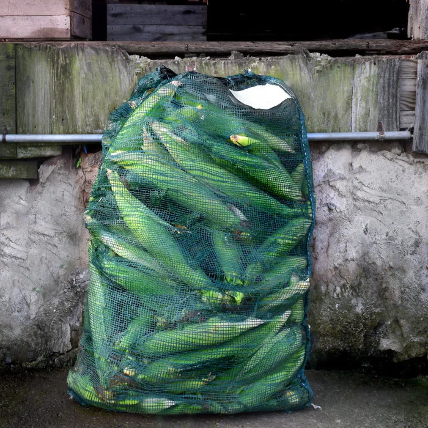 Mesh Produce Bags for Onions Corn Potatoes 24 x 36