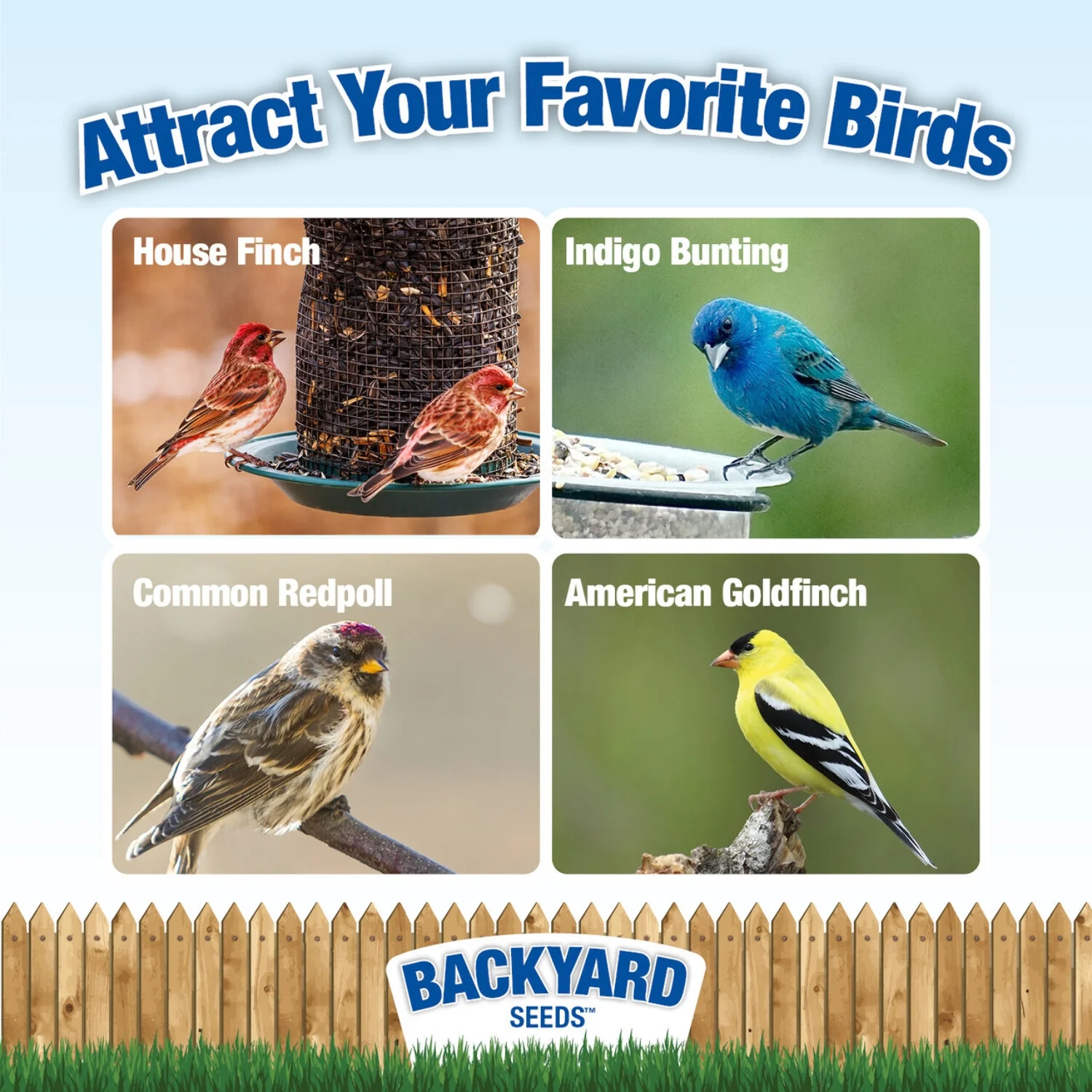 Backyard Seeds Thistle Seed