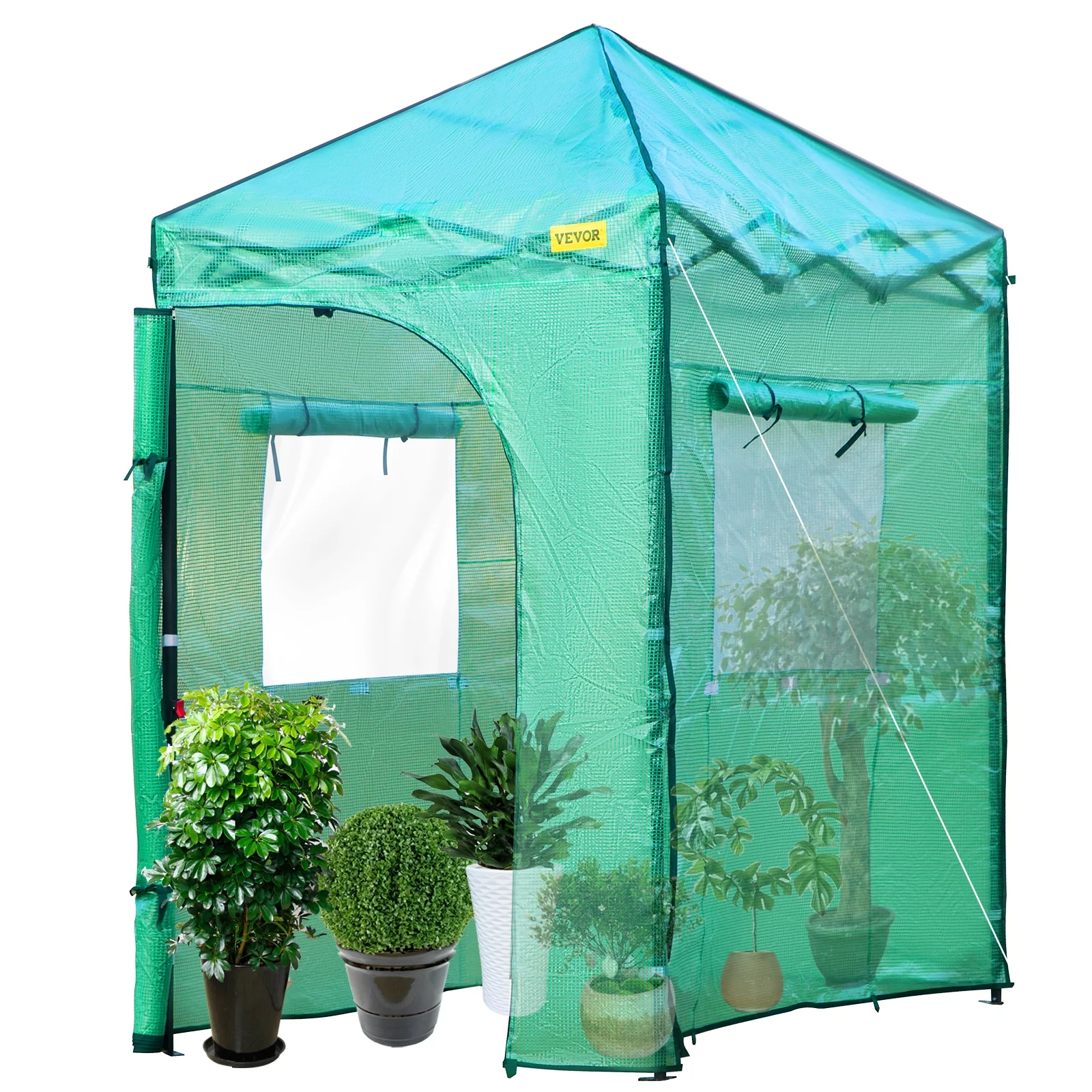 VEVOR  6' x 4' x 8' Pop up Greenhouse Walk-in Portable Greenhouse for Indoor Outdoor Gardening with Roll-Up Door and Windows