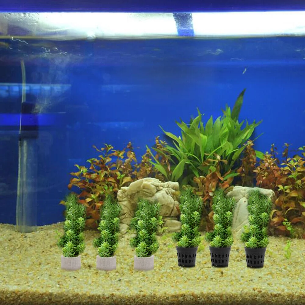 15 Pcs Nettie Pots Aquarium Water Plant Cup Aquatic Plants Colonizations