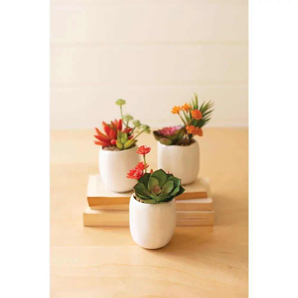 Kalalou Inc Set Of Three Artificial Succulent Plants In A White Pot