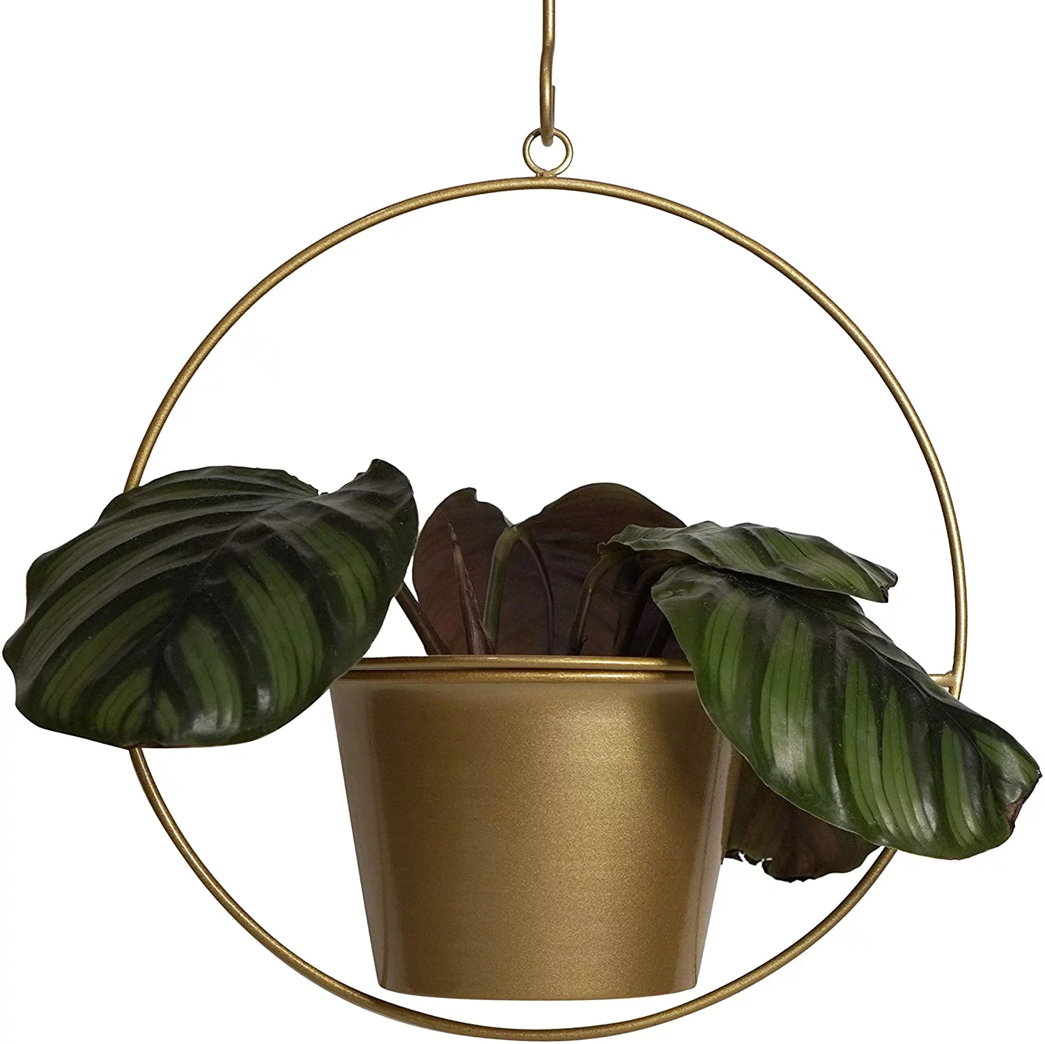 Plant Hanger 6 Inch Hanging Planter Plant Holders Modern Pot Hanger Wall Planters Indoor Hanging Metal Planter