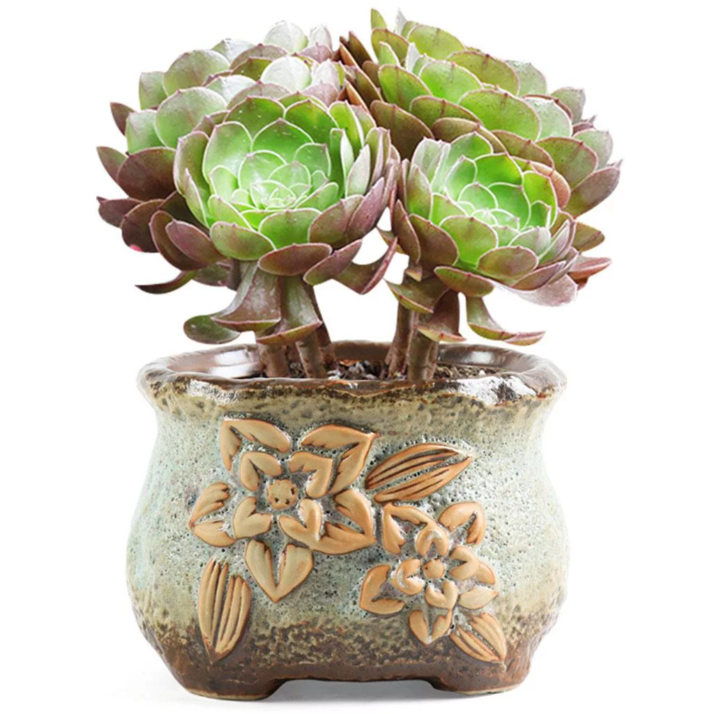 Retro Ceric Succulent Pots with Drainage Hole Plant Flor Pots Cactus Planter Indoor Plant Pots for Fern, Herbs, Succulents or Cacti - .6x4.9x3.9in
