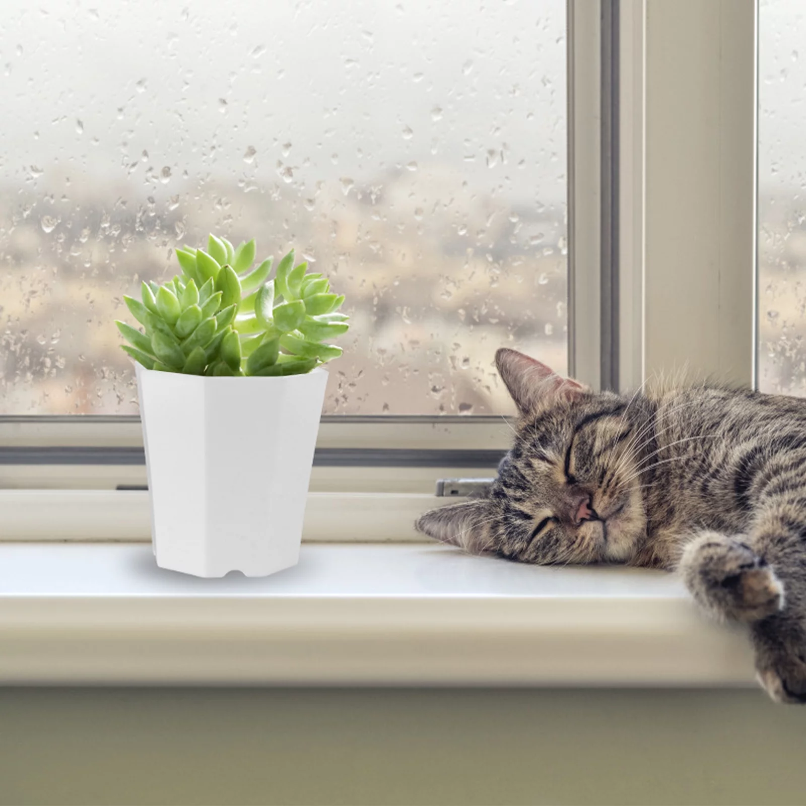 Guichaokj 5Pcs Decorative Flowerpot Simple Plant Pot Household Succulent Pot (White)