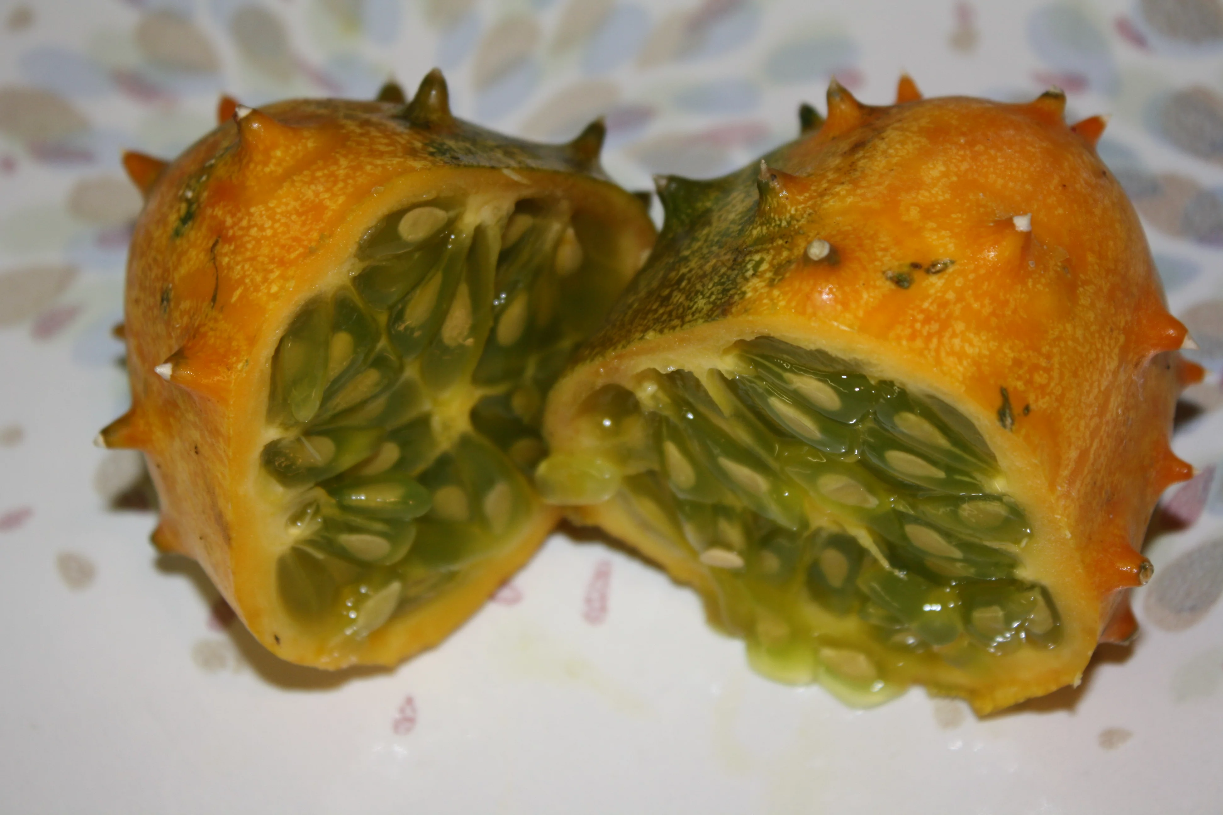 Seed Pack = = =20 Seeds African Horned Cucumber Vegetable Garden= Natural NON GMO Heirloom= African Kiwano Unique  - Serendipity Seeds