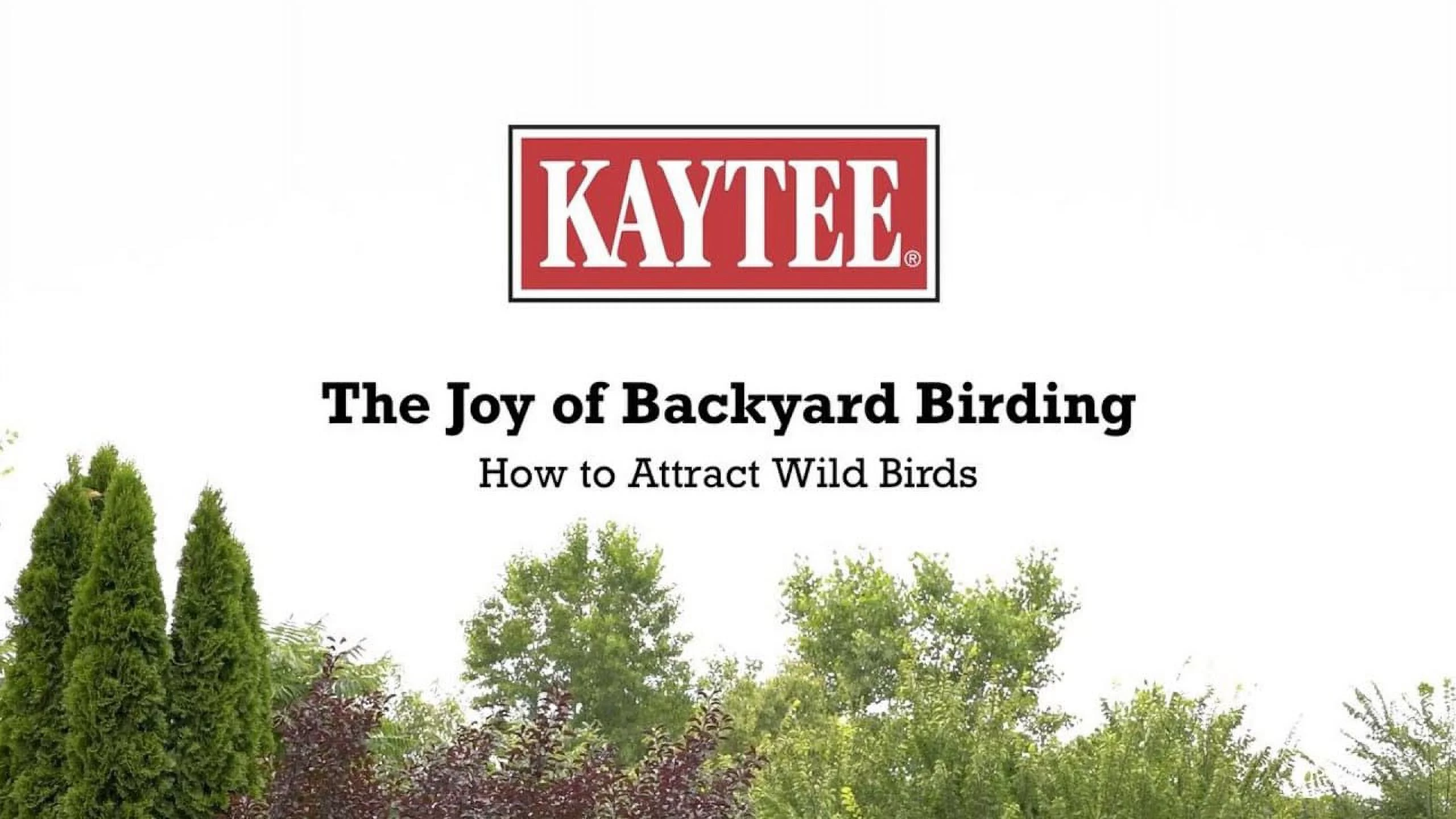 NUT&FRUIT SEED BELL 15OZ (Pack of 1)