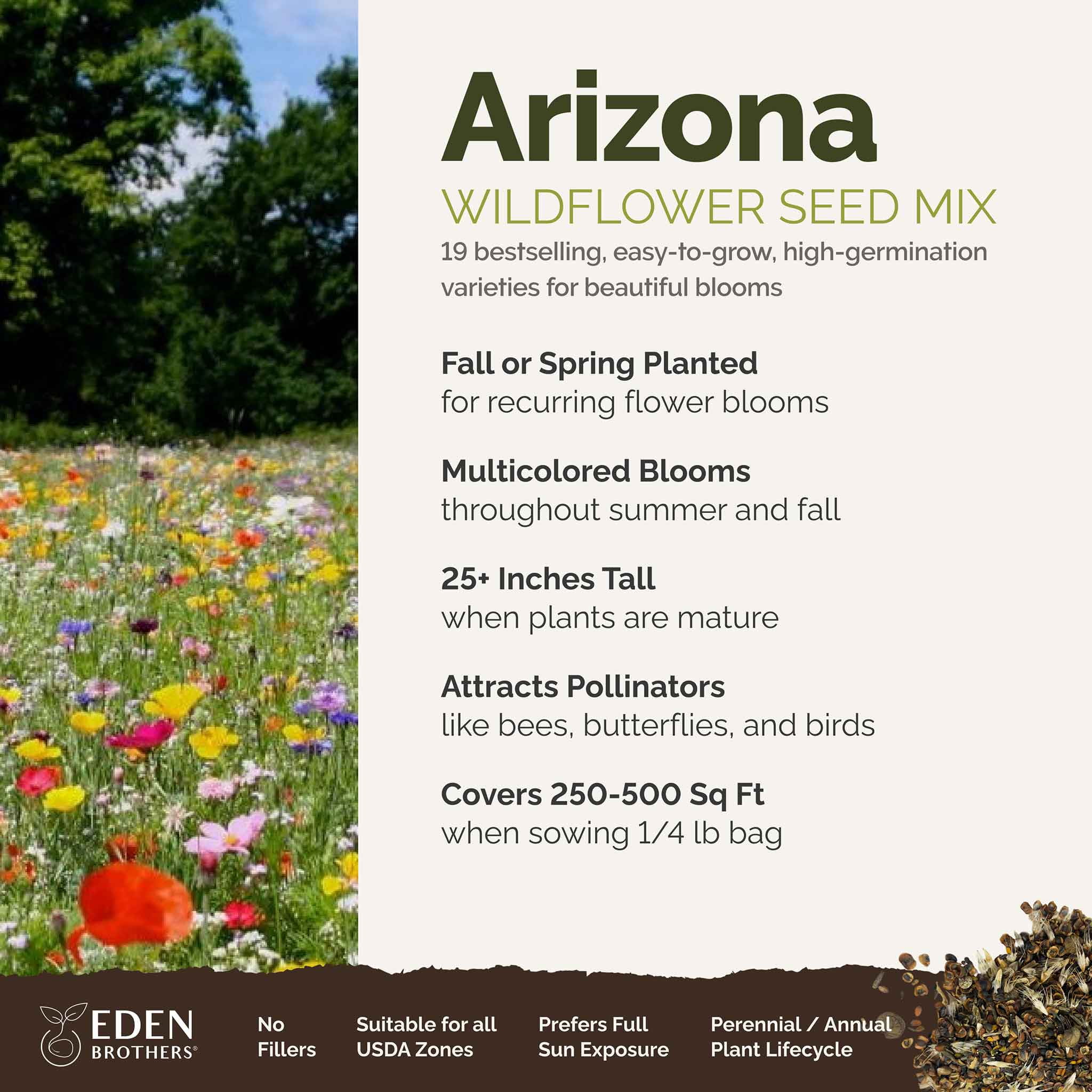 Eden Brothers Arizona Wildflower Mixed Seeds for Planting, 1/4 lb, 120,000+ Seeds with Yarrow, Cosmos, Indian Blanket | Attracts Pollinators, Plant in Spring or Fall, Zones