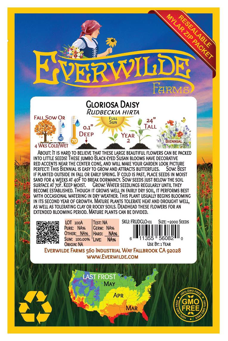 Everwilde Farms - 2000 Gloriosa Daisy Garden Flower Seeds - Gold Vault Jumbo Bulk Seed Packet