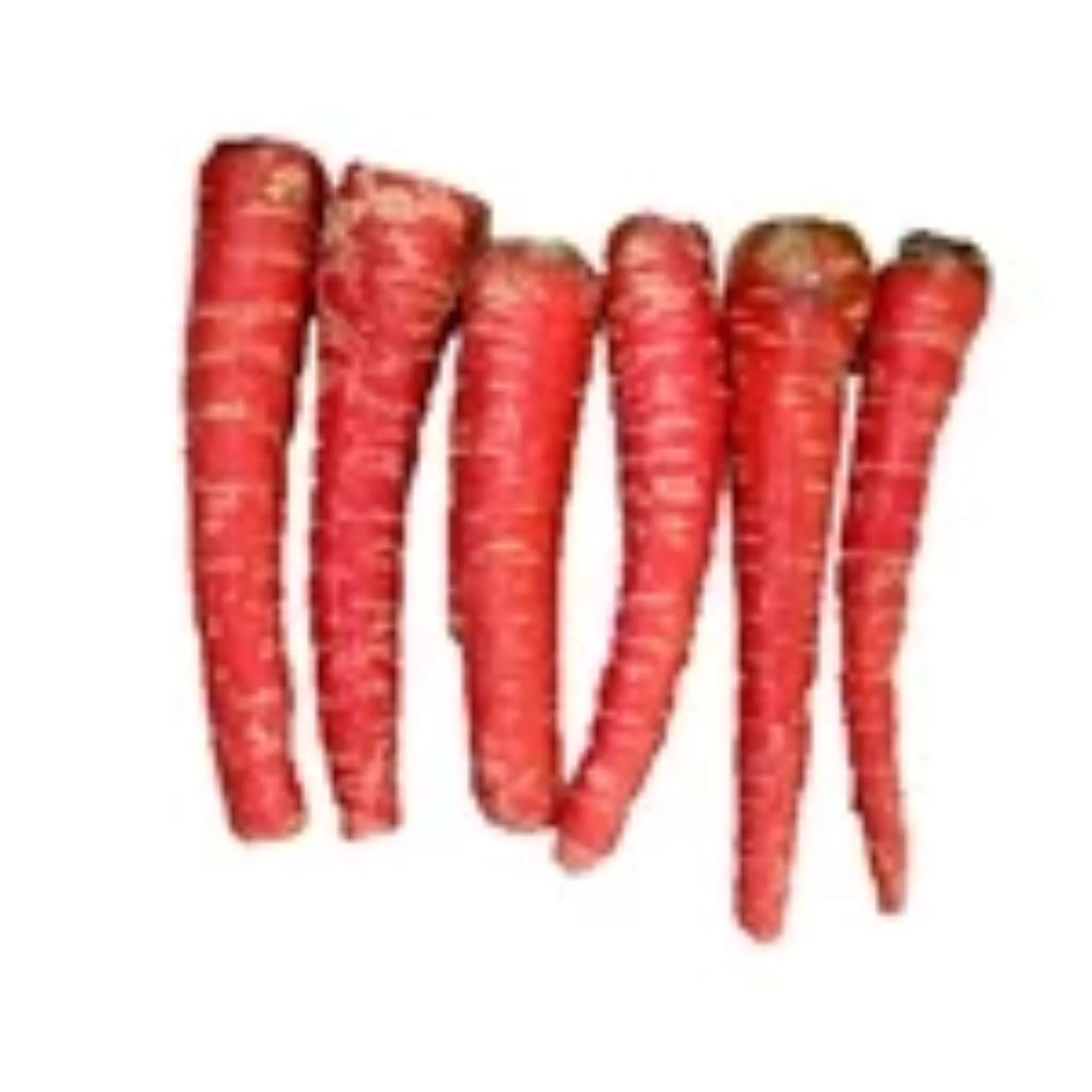 Atomic Red Carrot Seeds/ Biennial/ Full Sun/ 300 Seeds 1/2 gram/ Zellajake Farm and Garden - B22