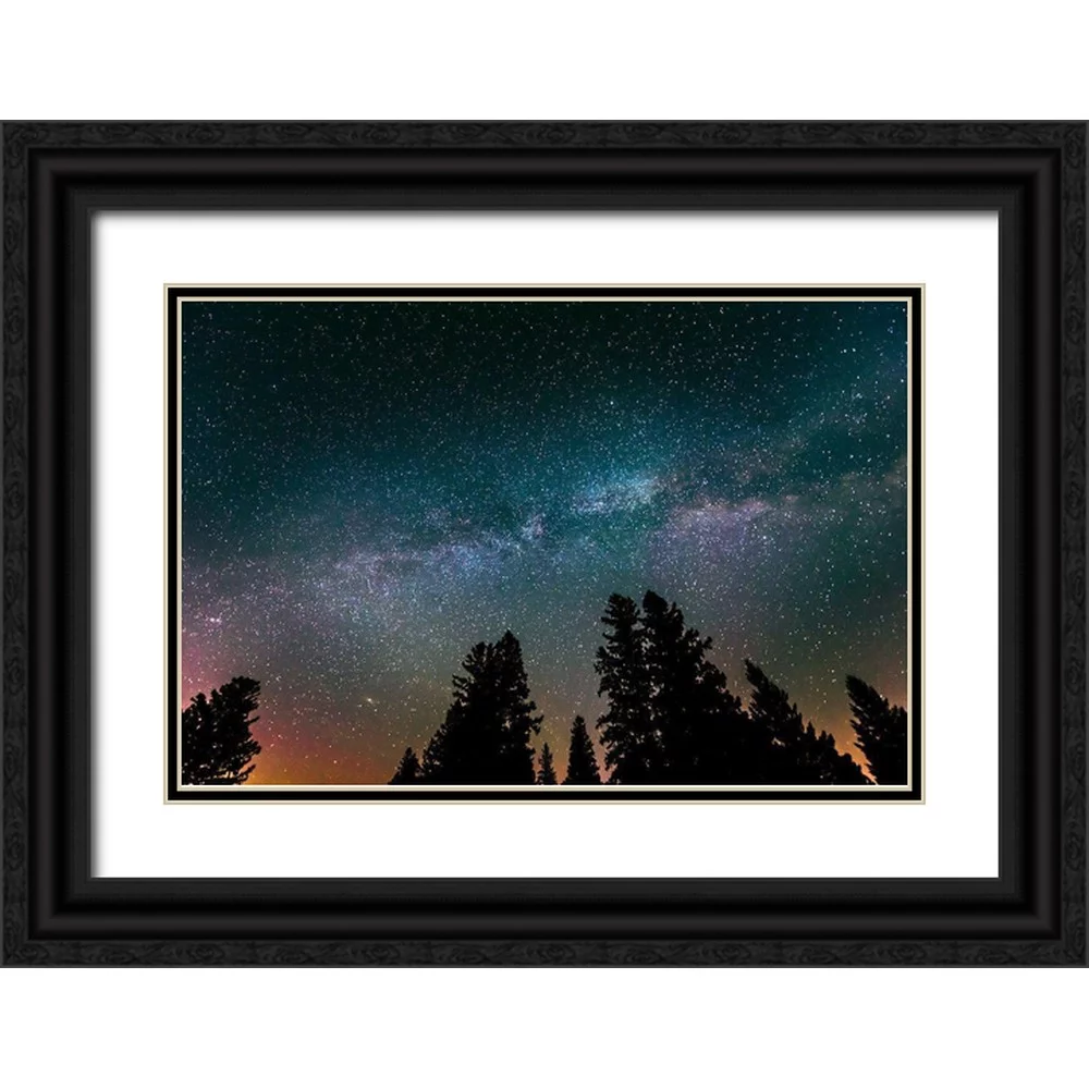 Jaynes Gallery 24x17 Black Ornate Wood Framed with Double Matting Museum Art Print Titled - Canada-Manitoba-Milky Way Galaxy and starry night with white spruce in foreground