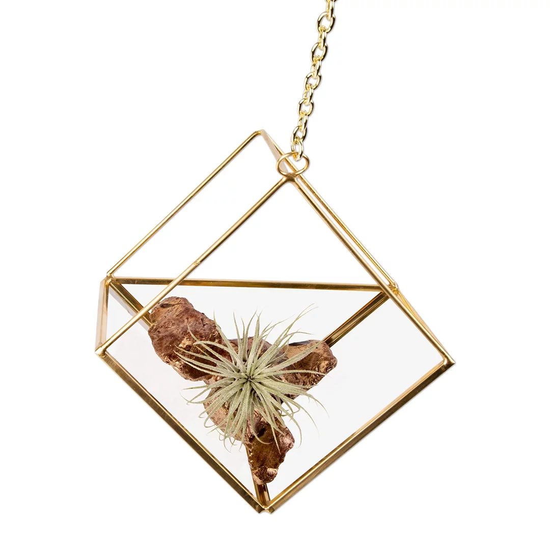 Koyal Wholesale Geometric Metal Hanging Air Planters Set of 6 Assorted Geometric Modern Shapes, 12-Inch Chains Included