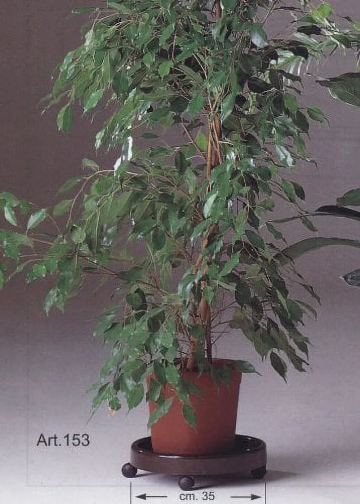 Two Plant Caddy, Use Indoor or Outdoor, Four Wheels, Extra Large Lip, Green, Sturdy Plastic, Italian