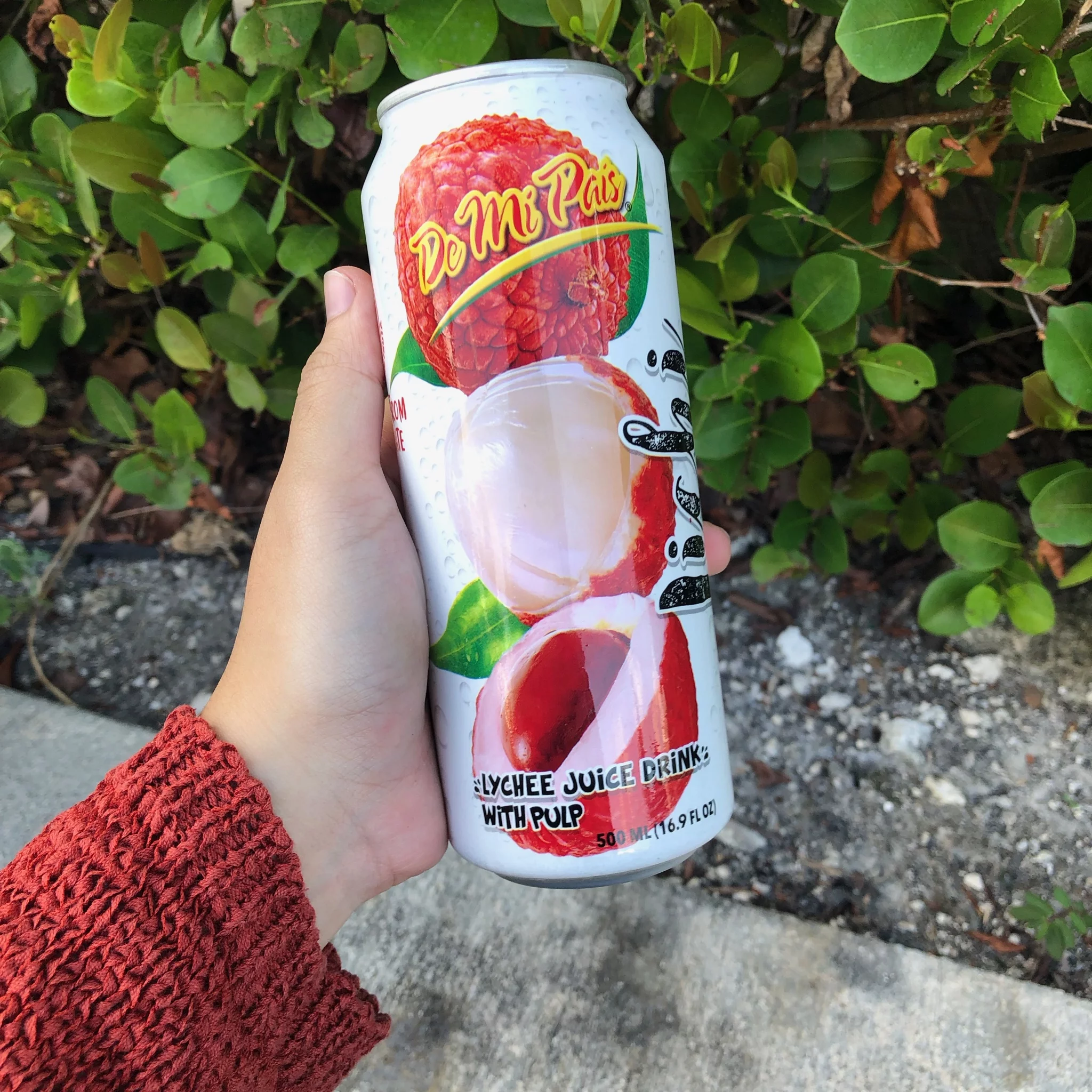 De Mi Pais Canned Lychee Fruit Juice 12-Pack