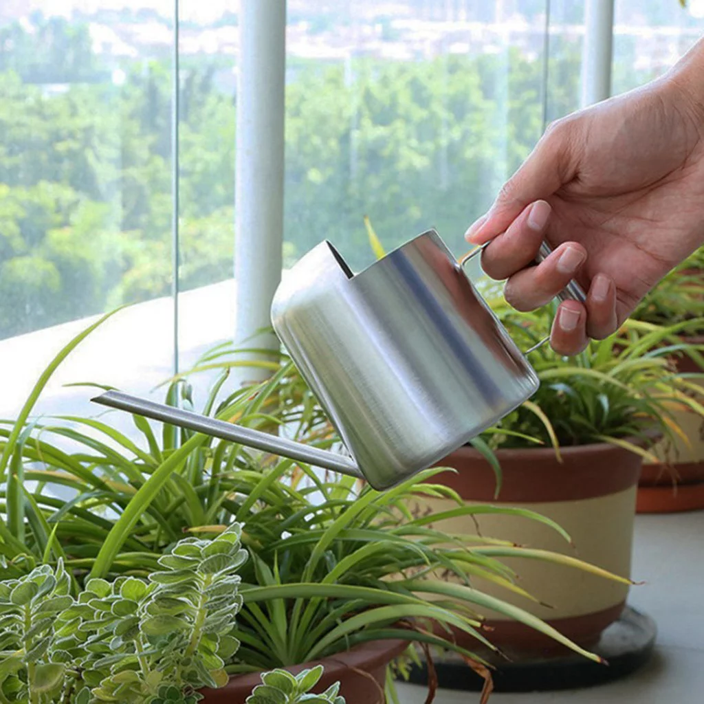 Watering Can Solid Stainless Steel Pot Long Spout Small Indoors 300 ML Potted Meat Bulk Flower for outside Balcony Variety Pack Flower for outside on Fence Animal Flower Outdoor Flower Baskets for