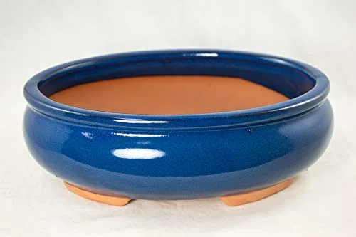 Oval Bonsai / Cactus & Succulent Pot + Tray + Mesh, Dark Blue, 10 x 7.5 x 3.25 Inches