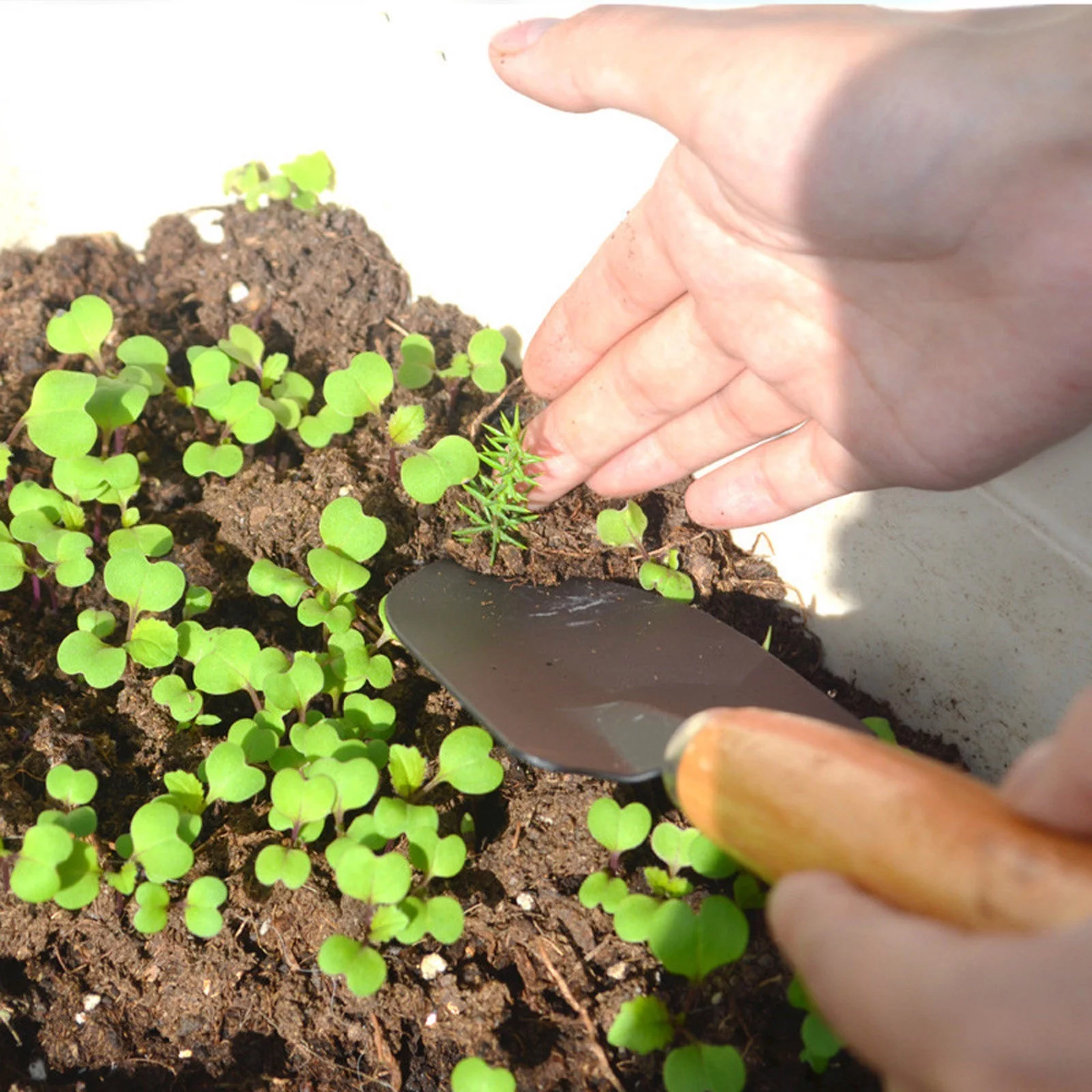 Adjustable Angle Plate 3Pcs Set Shovel Rake Wood Handle Metal Head Kids Tool Mini Garden Tools