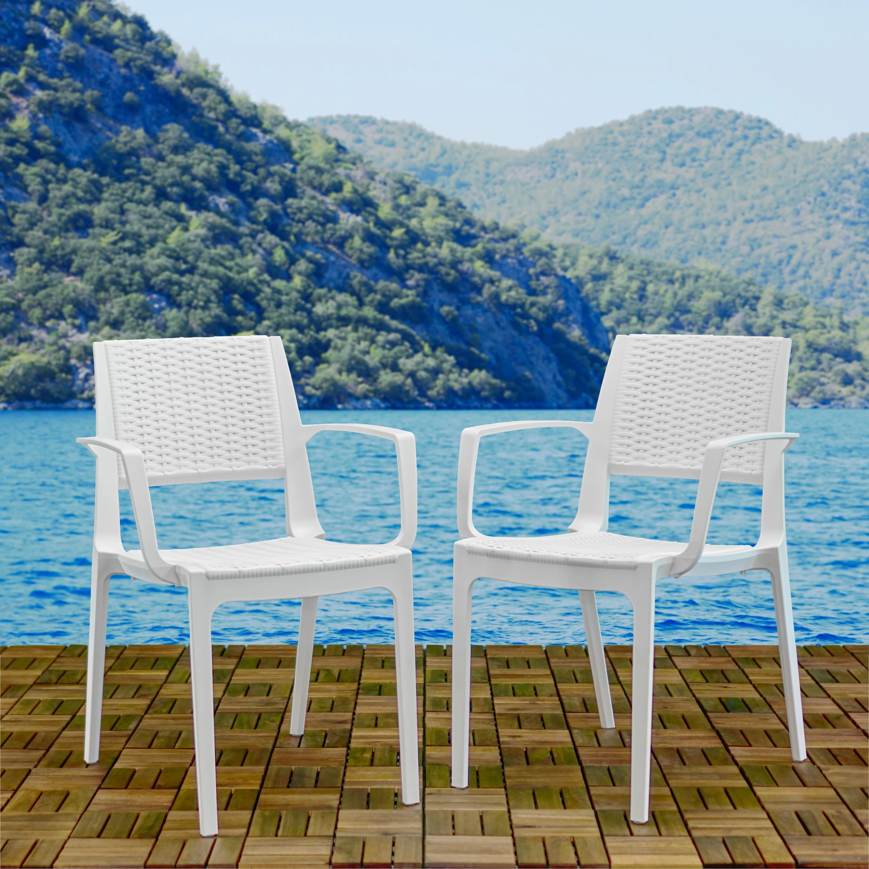 Medi Resin Dining Armchairs (Set of 2) Brown