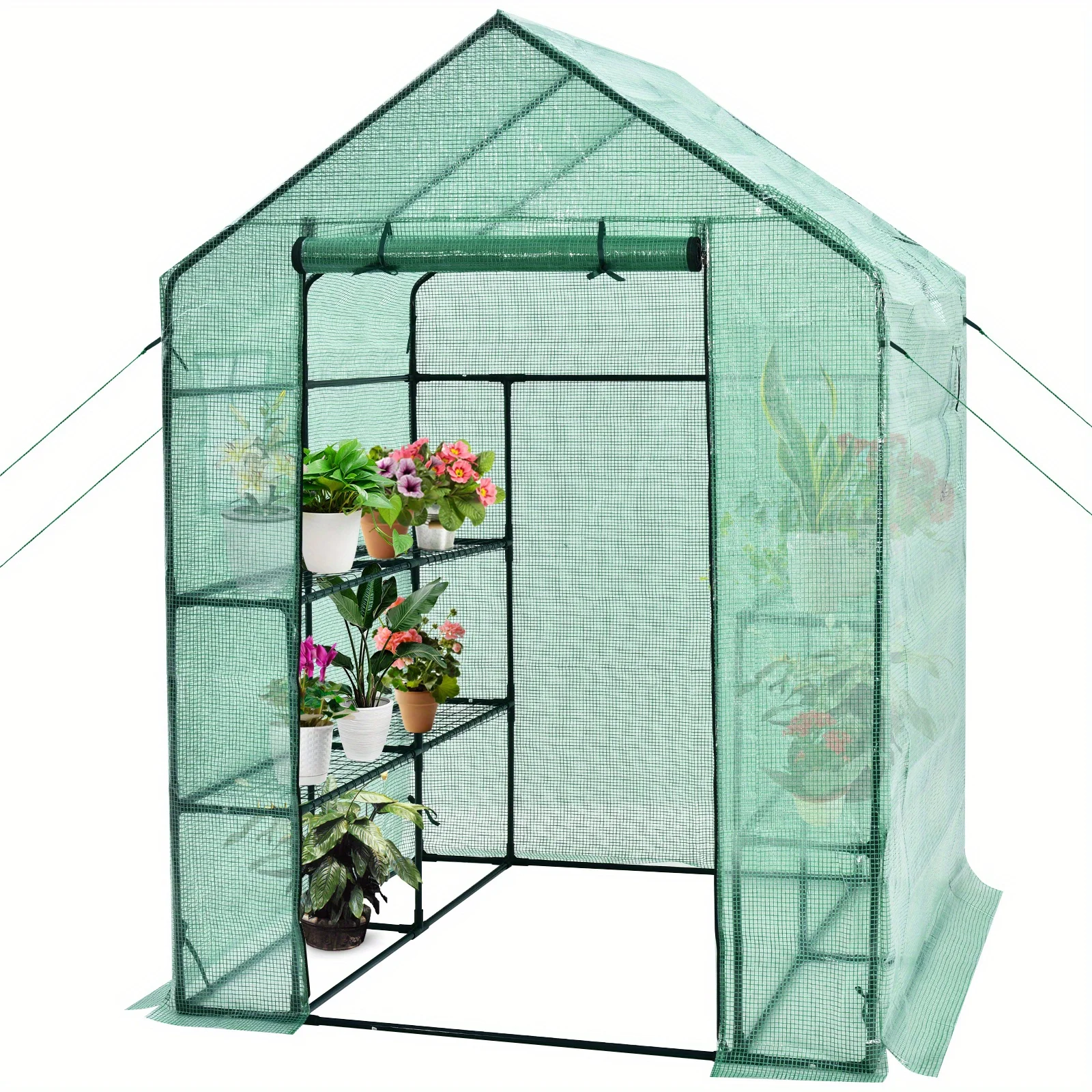 Walk-in Greenhouse 56