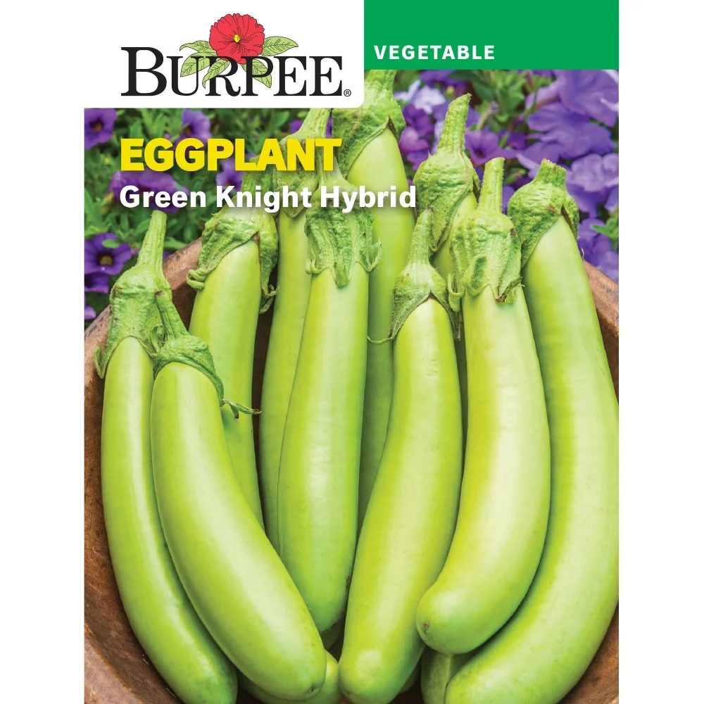 Burpee Green Knight Eggplant Vegetable Seed, 1-Pack