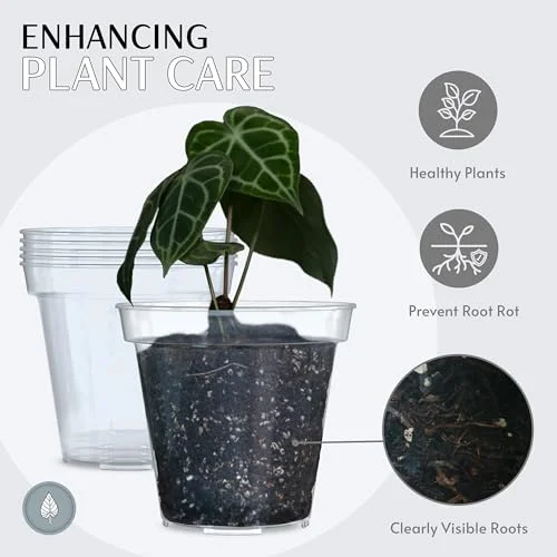 karenplantsplants™ 8