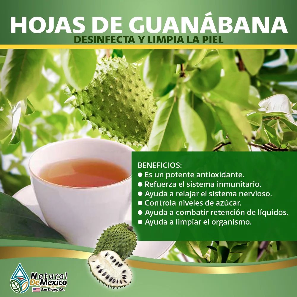 Hojas de Guanabana Herb Tea 4 oz. 113g Whole Soursop Leaves Graviola 100% Natural