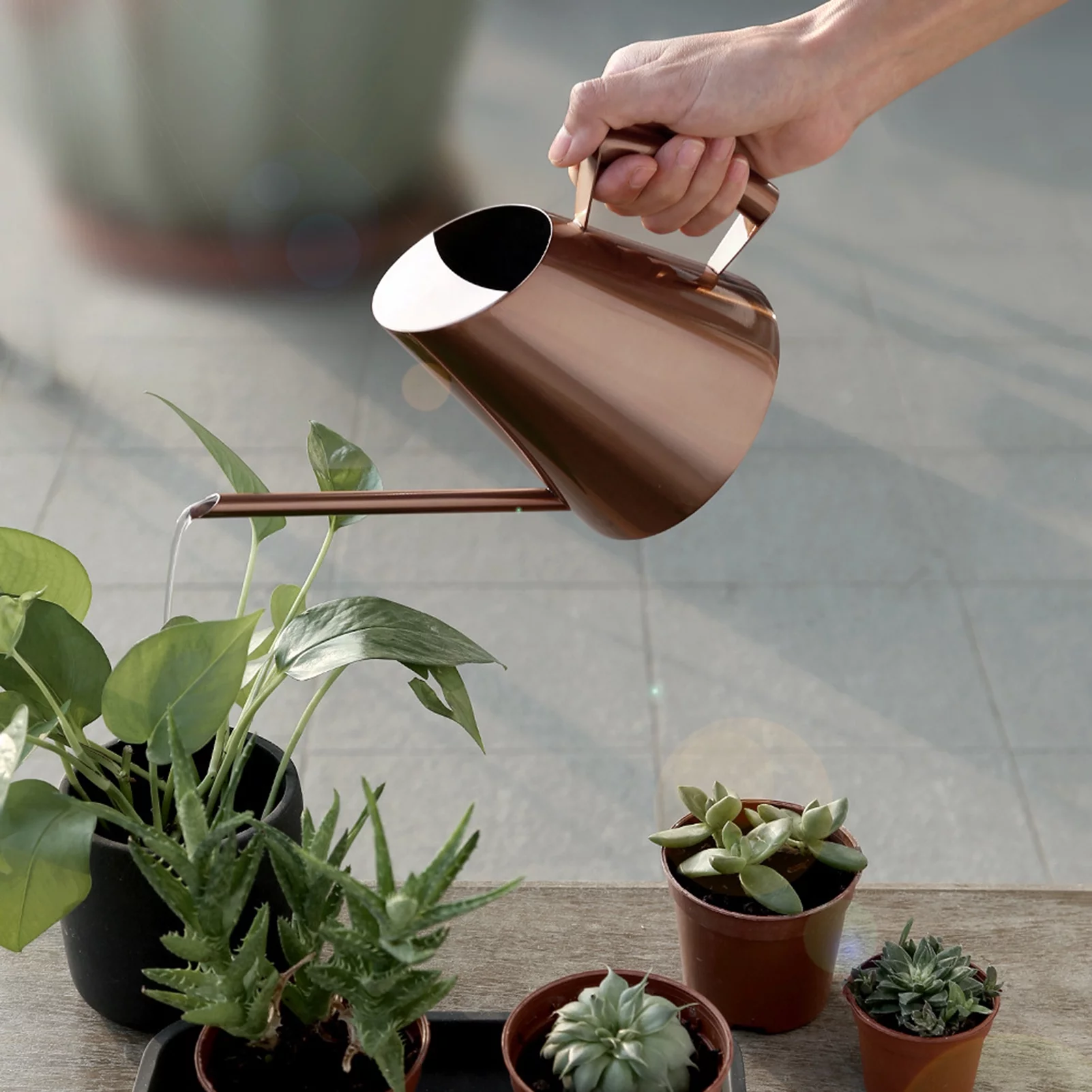 Watering Can, Bronze Stainless Steel Watering Pot with Long Spout Household Garden Plant Flower Long Mouth Sprinkling Pot(M)