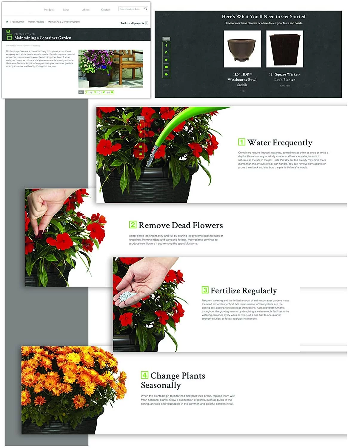 Southern Patio HDR-046868 20.5