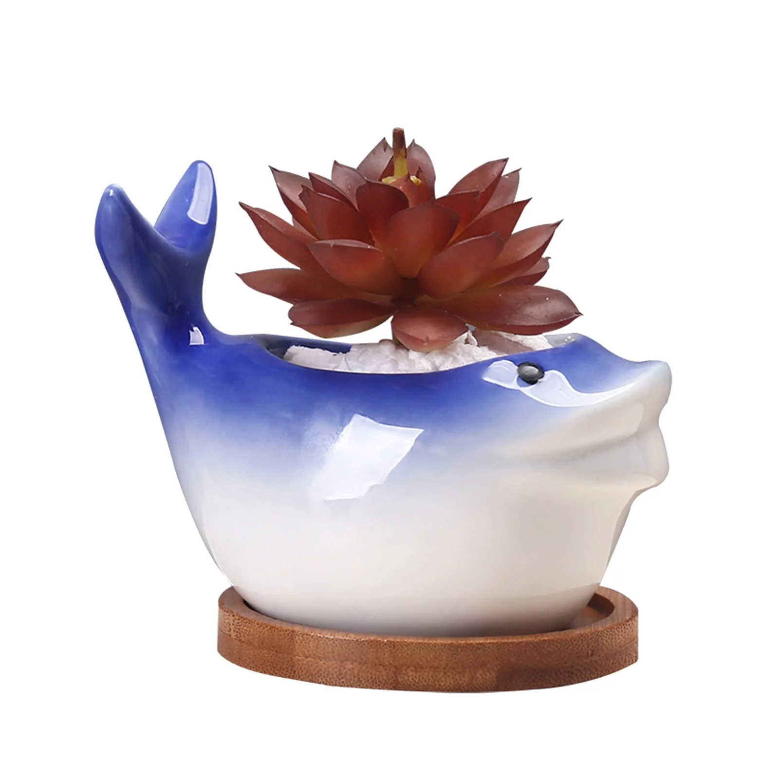 Valentines Day Gifts, Succulents Flowers Outdoor Flower Flower Wall Self Pot Wall Stackable Watering Hanging Planter Pots Garden Flower Pots Garden Office Decoration