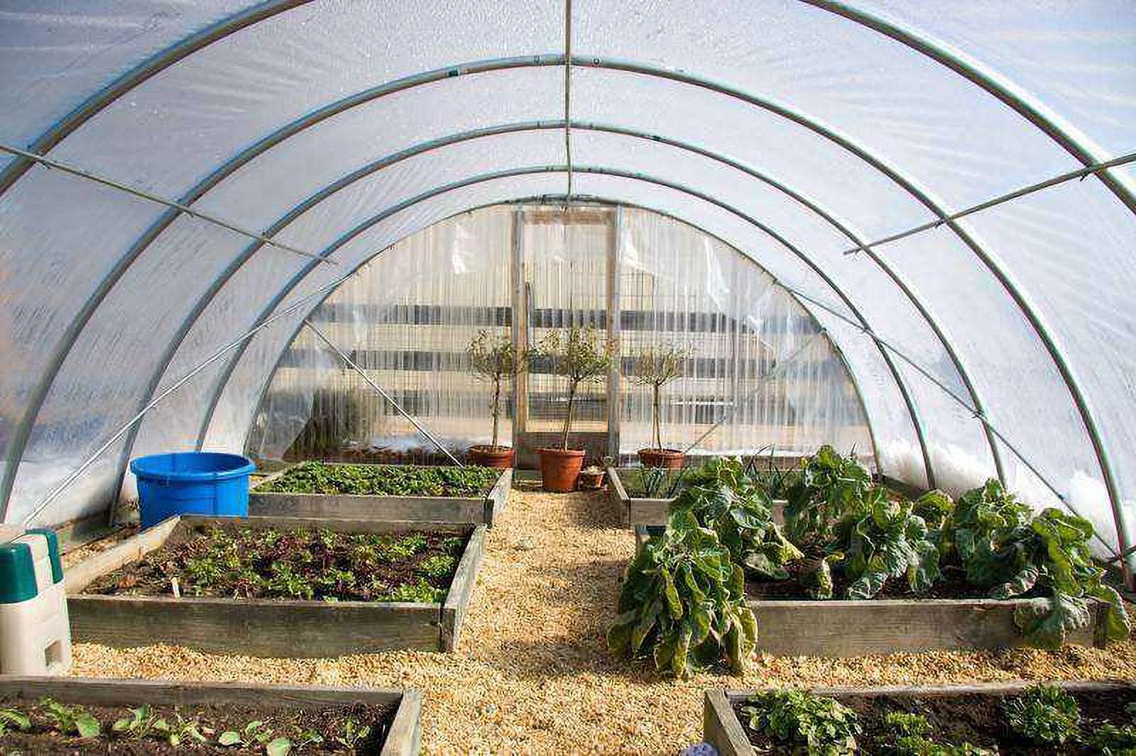 Greenhouse Film-20' x 15'-4 Year UV Resistance-Clear-6 mil thickness