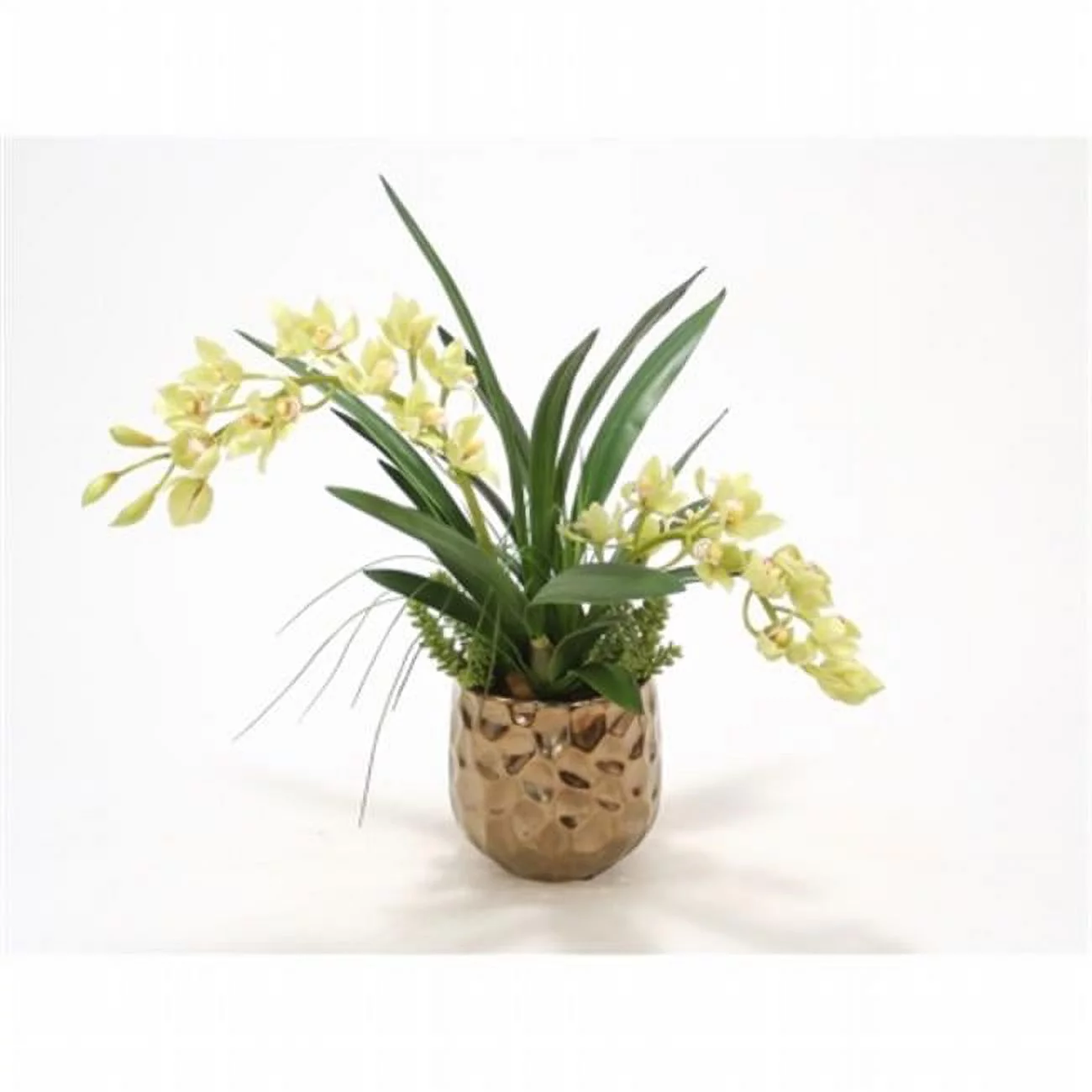 International  Green Cymbidium Orchids in Burnt Gold Gabbi Planter