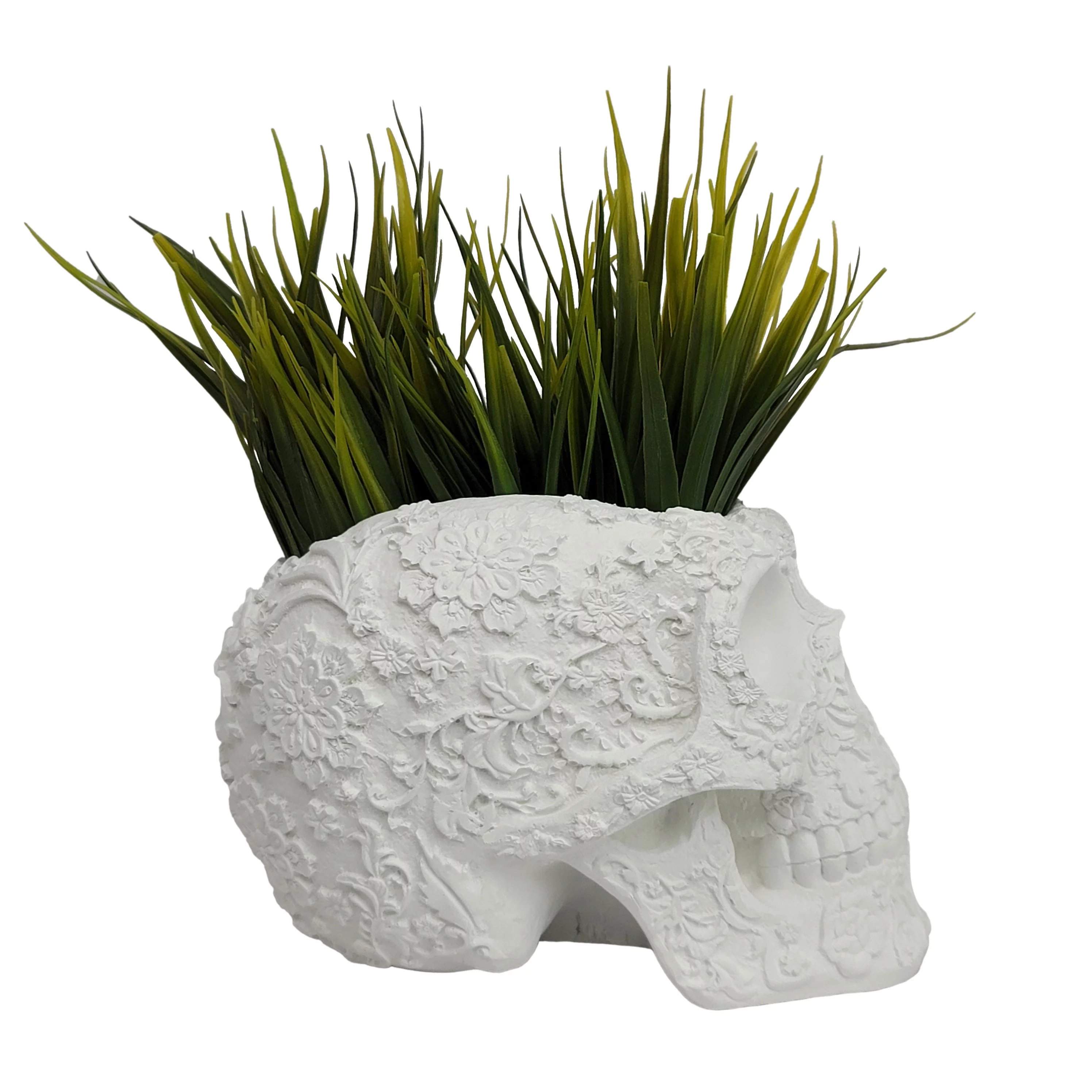 Coliseum Studio Skull Concrete Planter with Drainage - Handmade in The USA 7