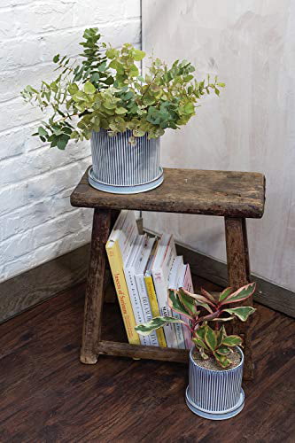 Curio Ceramic Pot with Saucer for Plant (62051) (7.5