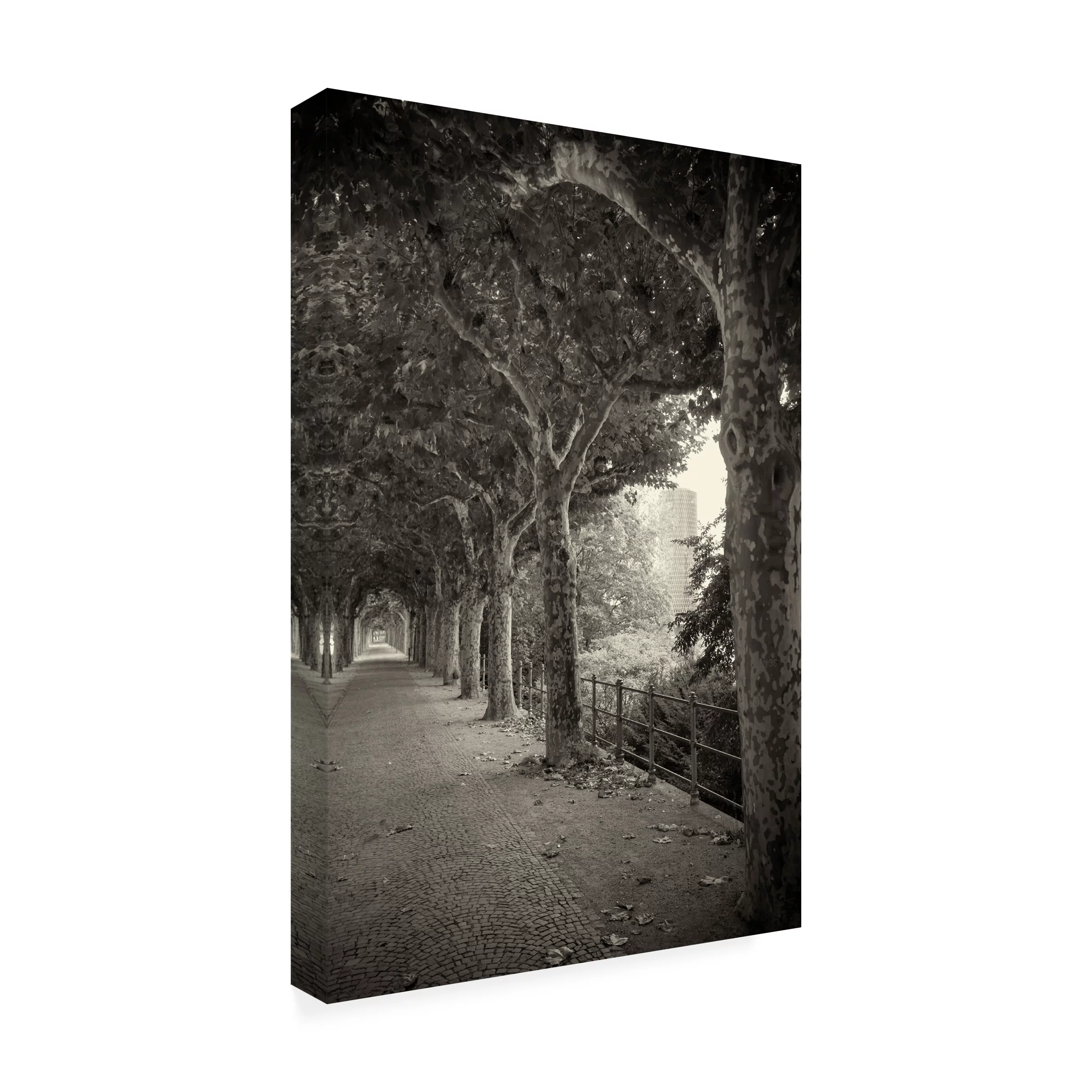 Geoffrey Ansel Agrons 'Sycamore 496 (Frankfurt)' Canvas Art