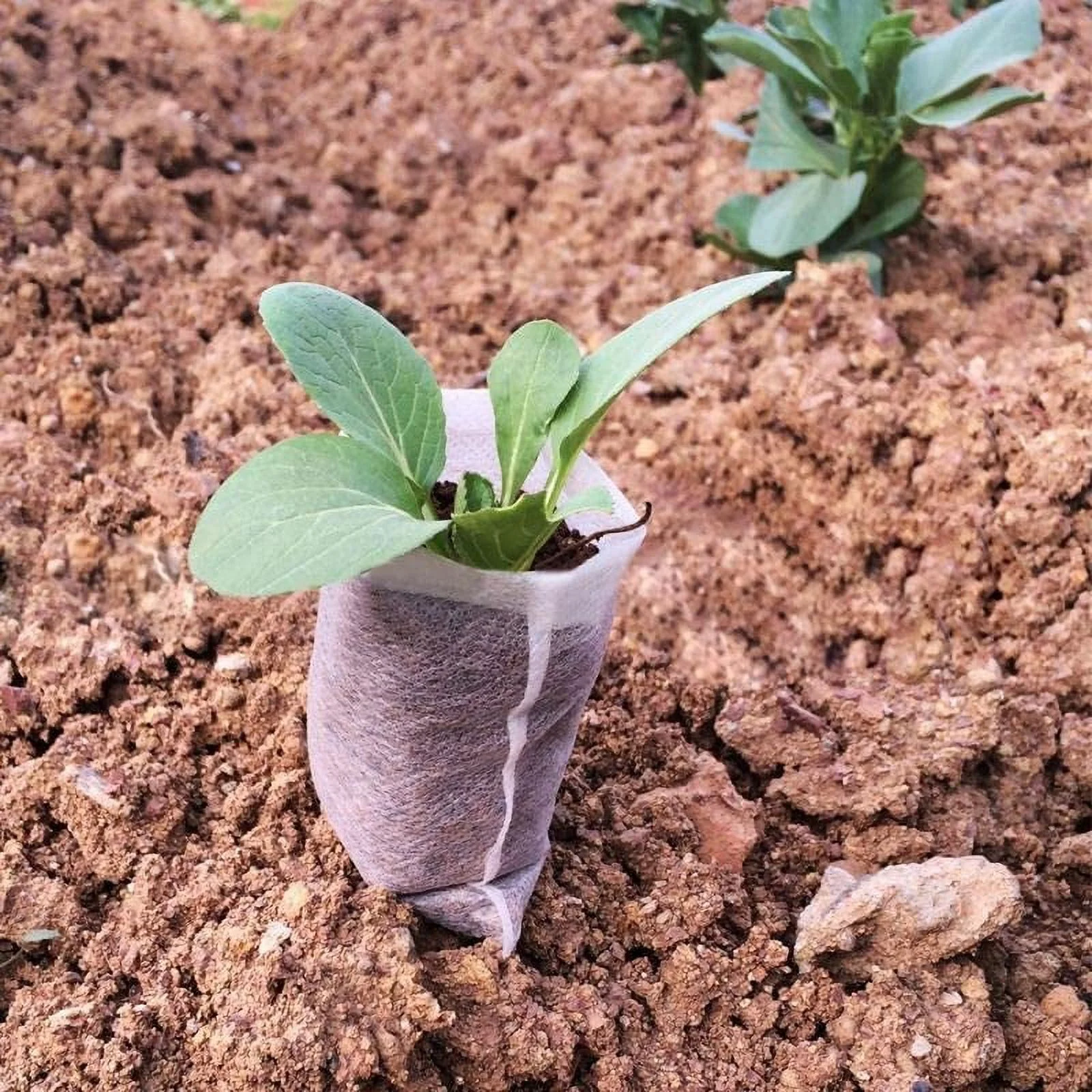 Biodegradable Non-Woven Nursery Grow Bags Seedling-Raising Bags Nursing Seedling Raising Pots Plants Pouch White - 7.09