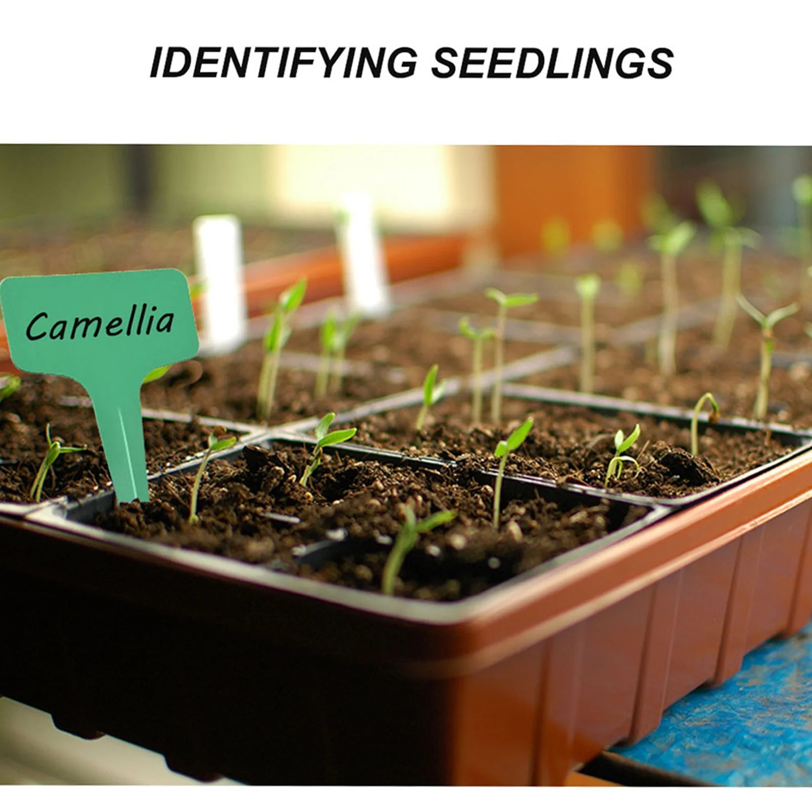 iron box,Tool With Dibbles Dibbers And Soil Blocker 2-inch Soil With Dibbles Dibbers Cousopo Hill Soil Anrio Maker With Handle Eryue Iron Box Iron Box Handheld With Handle Handheld Havou