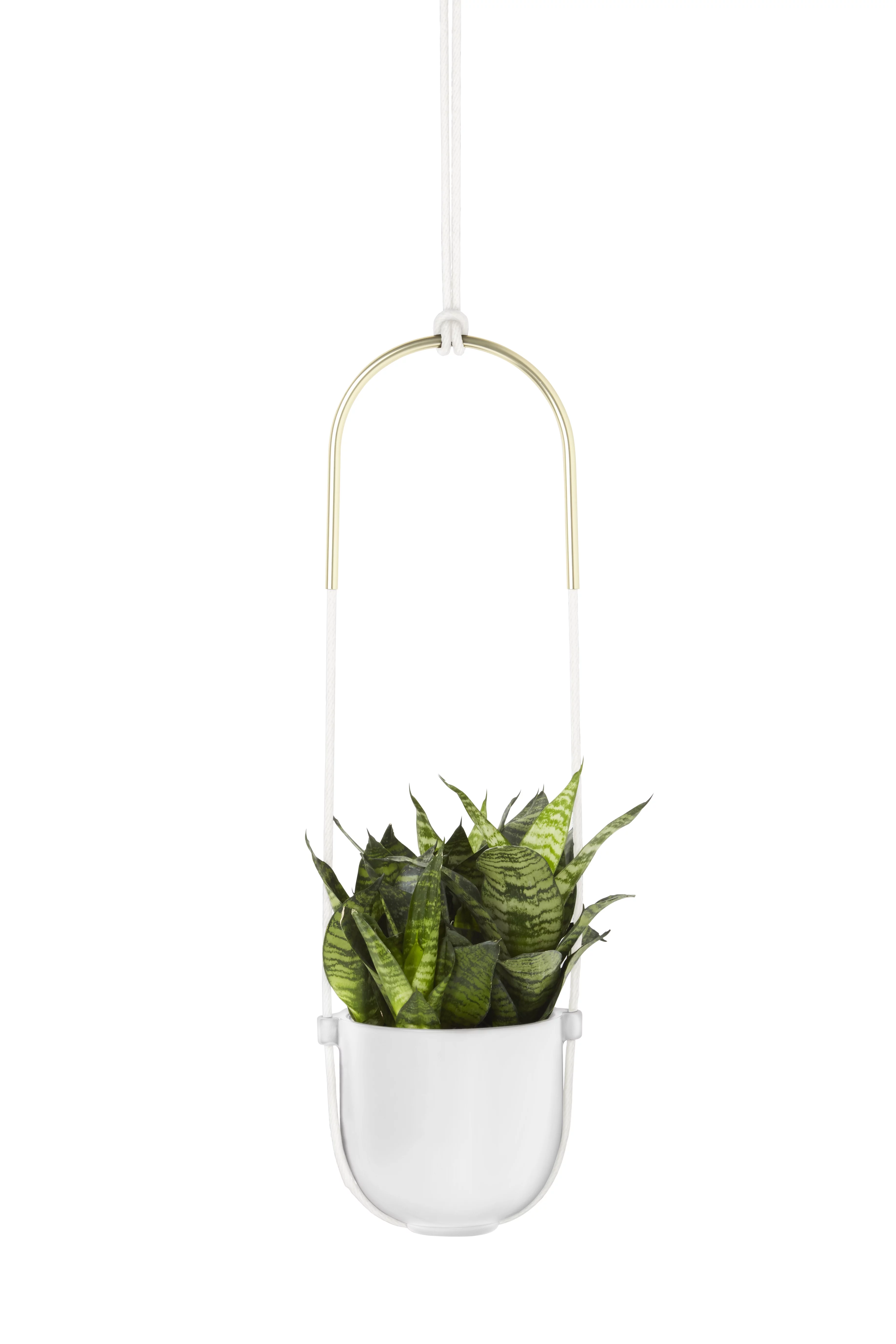 Umbra Bolo Ceramic Hanging Wall Planter White