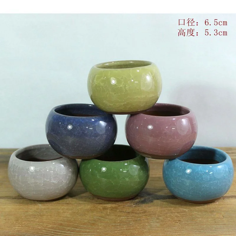 Ceramic Succulent Planter - Hand-Painted Succulent Pot - Desktop Plant Pot