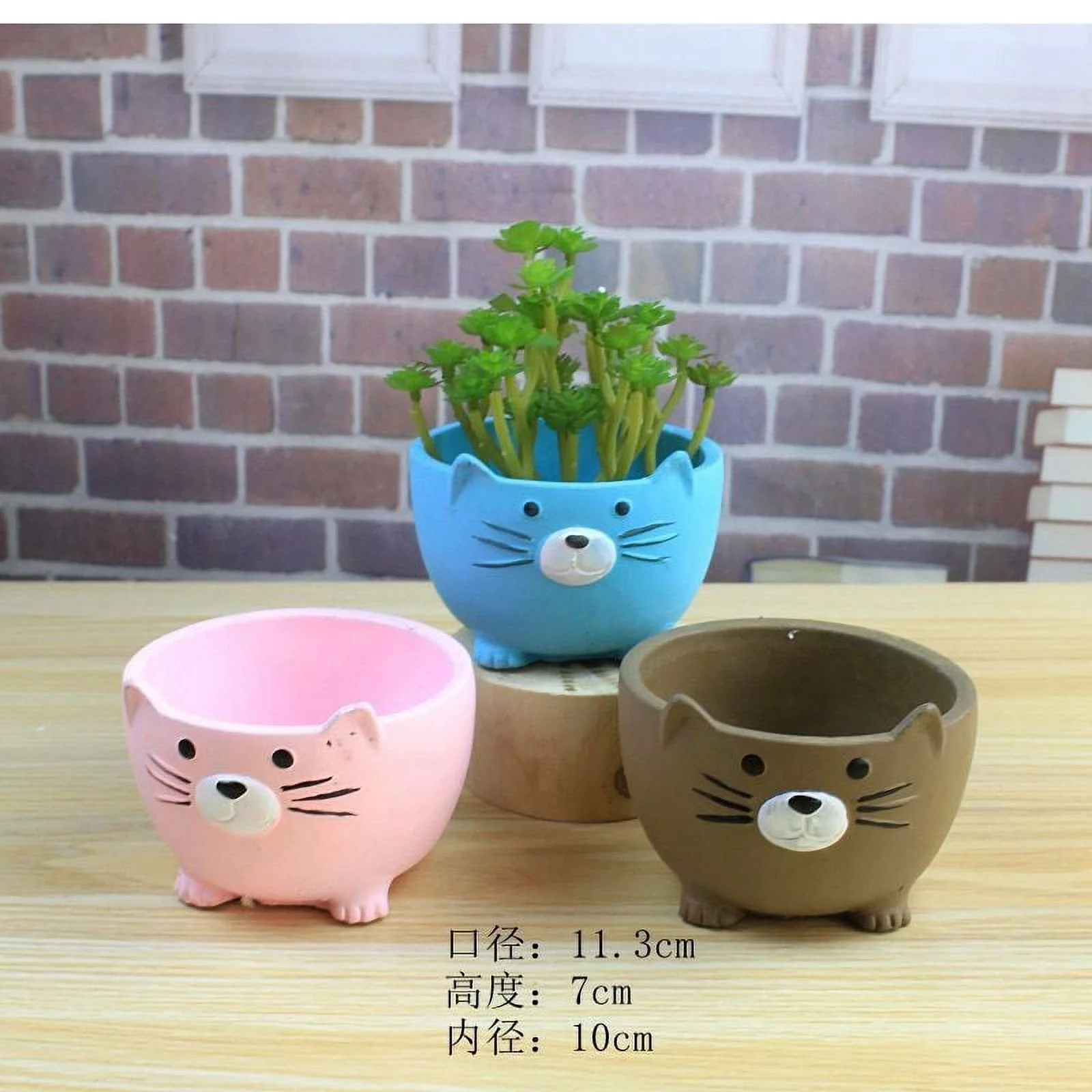 LivNxt Hand-painted Cement Succulent Planter - Eco-friendly Pot for Succulent Arrangements