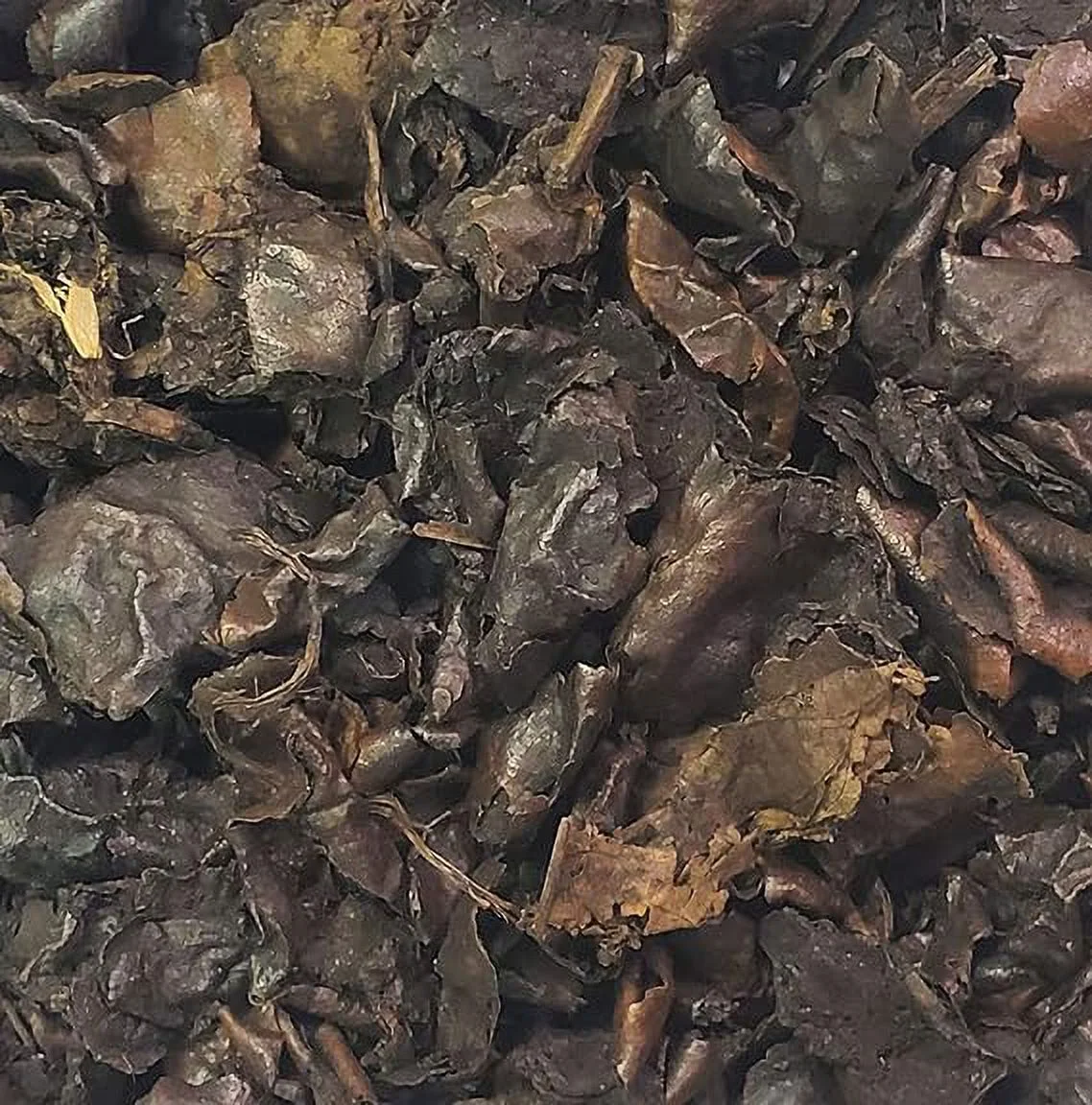 Black Walnut Hull 1 Pound-Bulk Bag-Outer Covering of the Nut