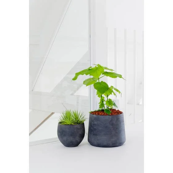 Petite Black Planter 6